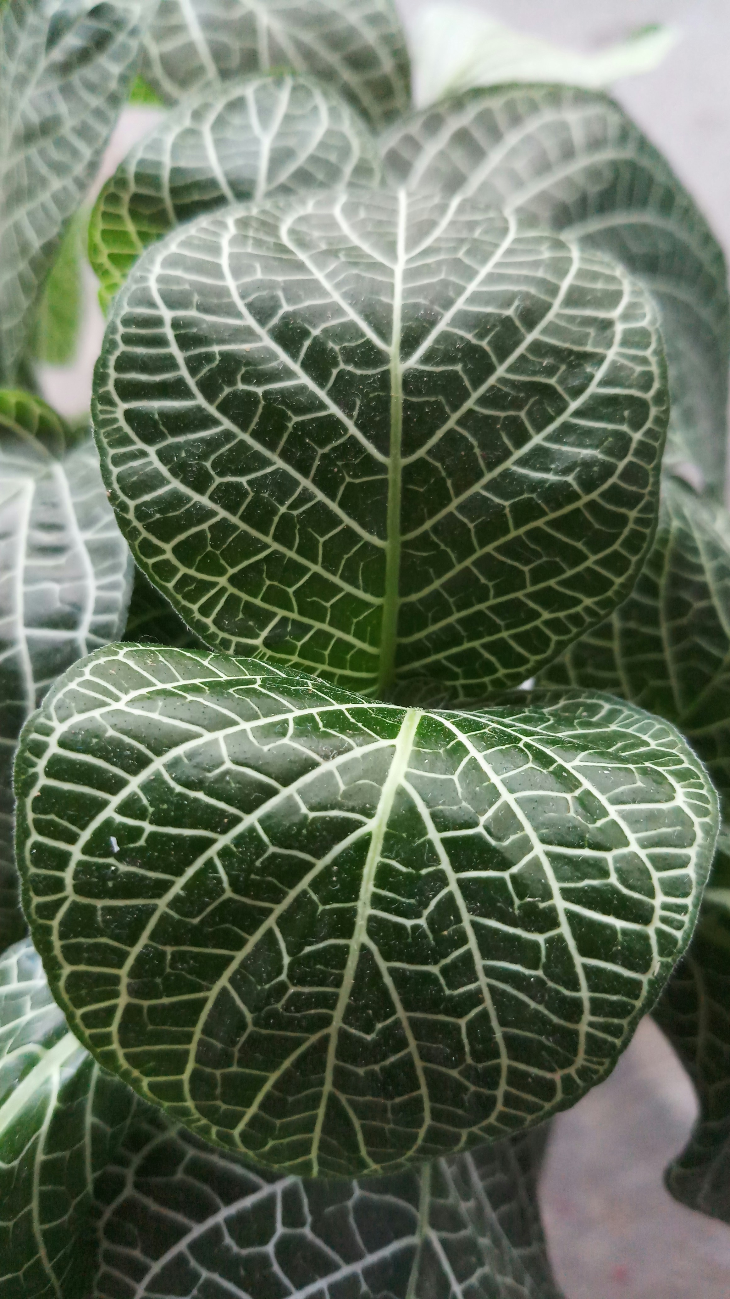 Photo by rabanpanton