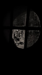 Window view showing a quiet street lined with trees and local shops.