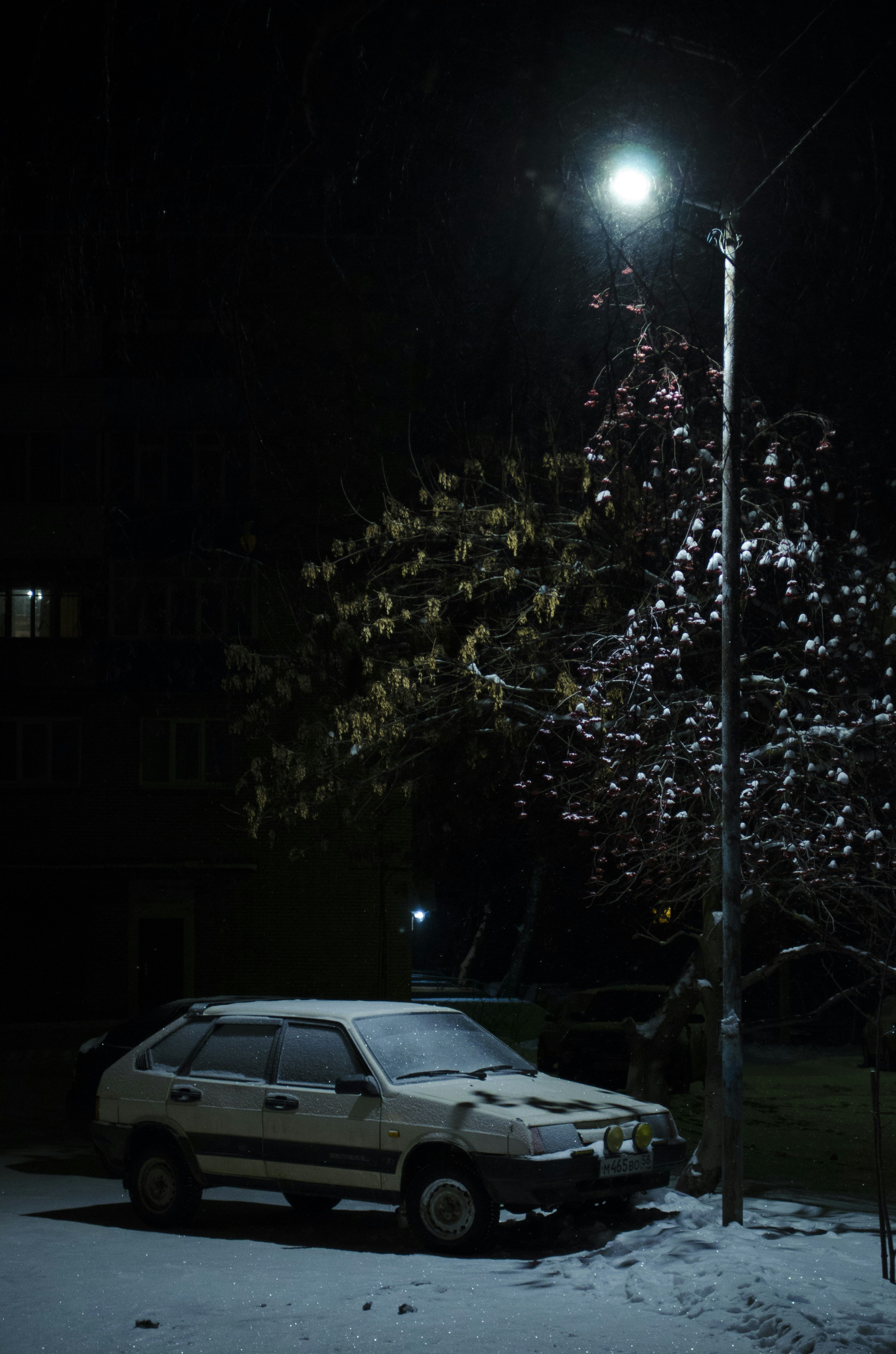 Photo by demin_nikol