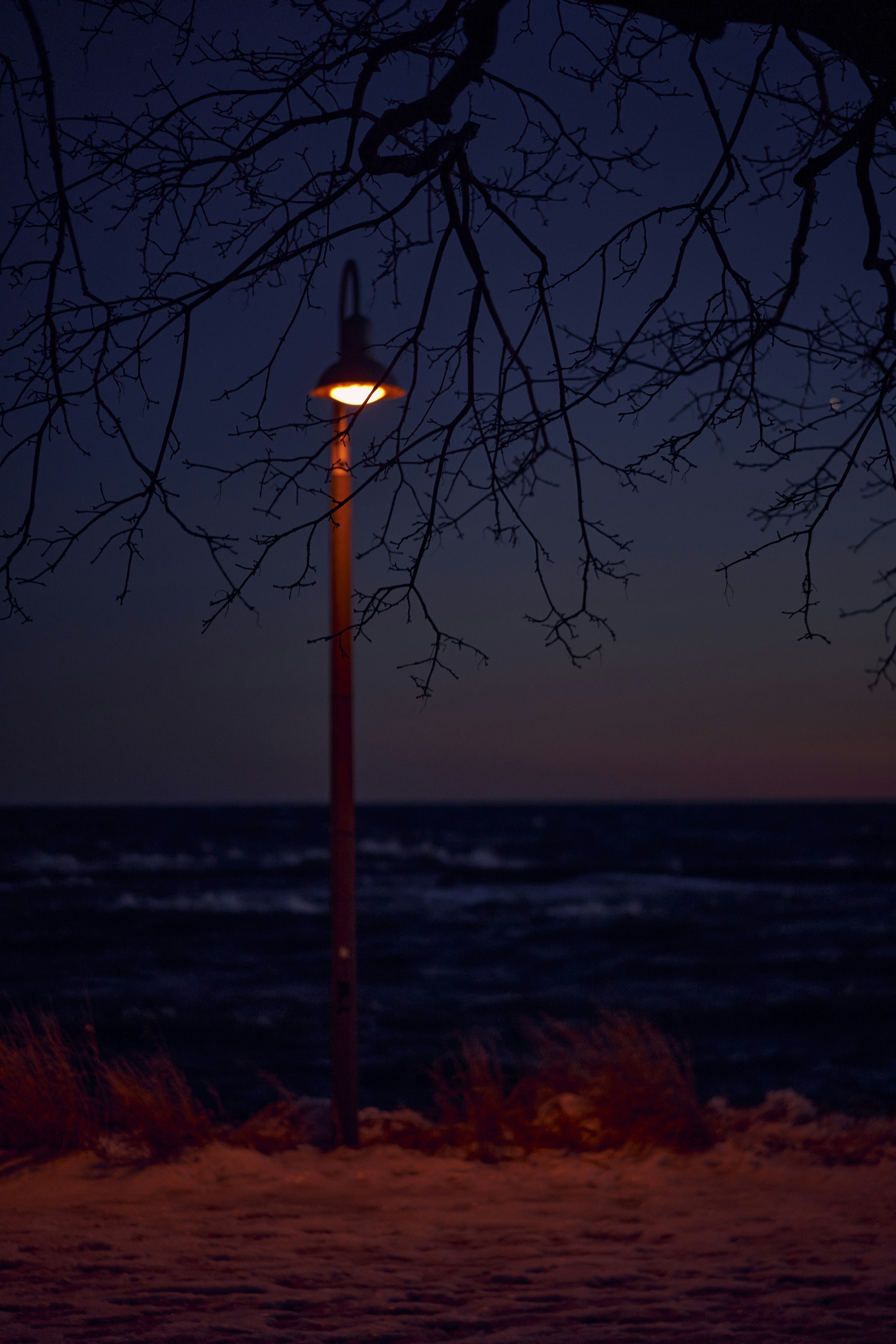 a street light sitting next to a body of water