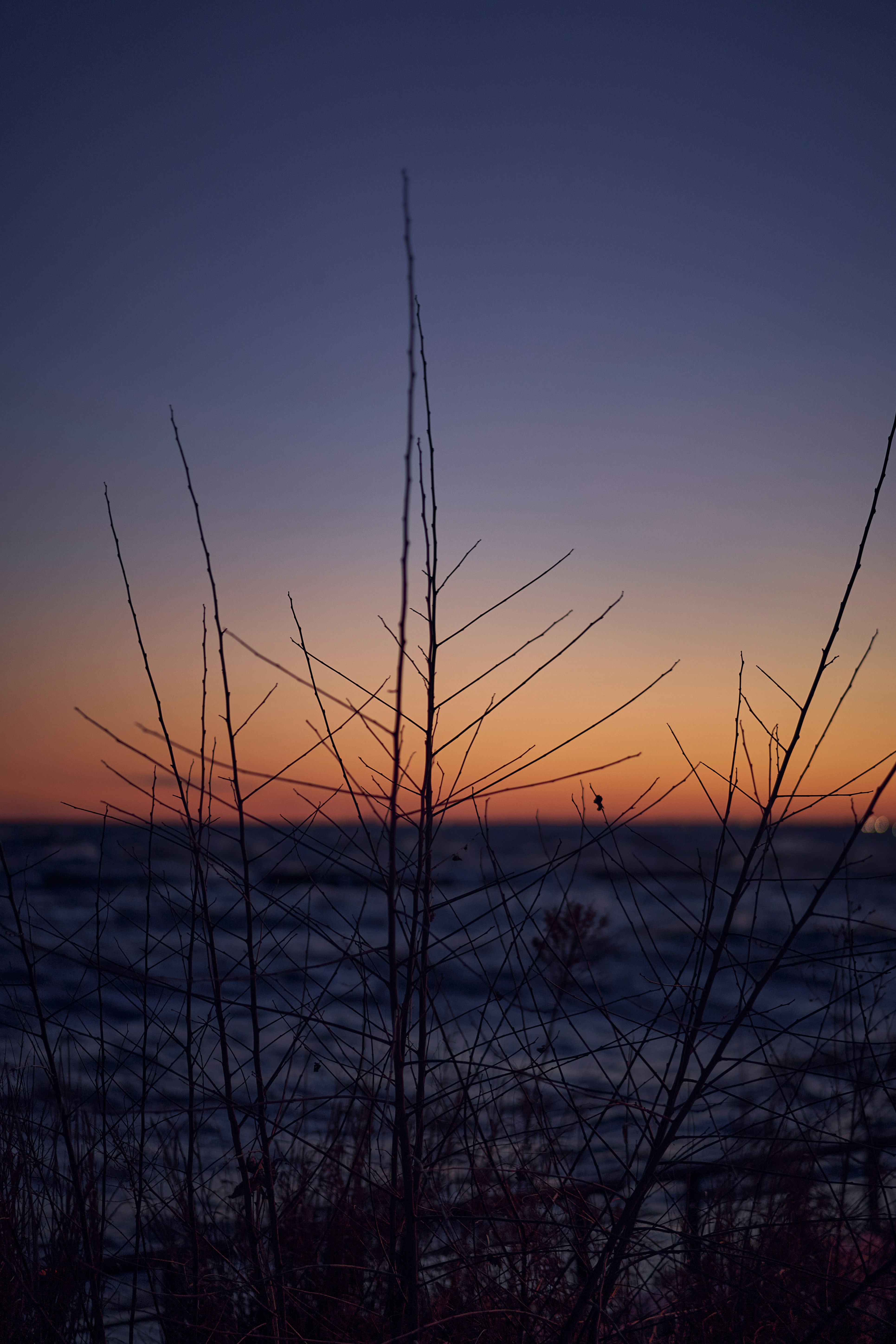 Photo by suicide_chewbacca