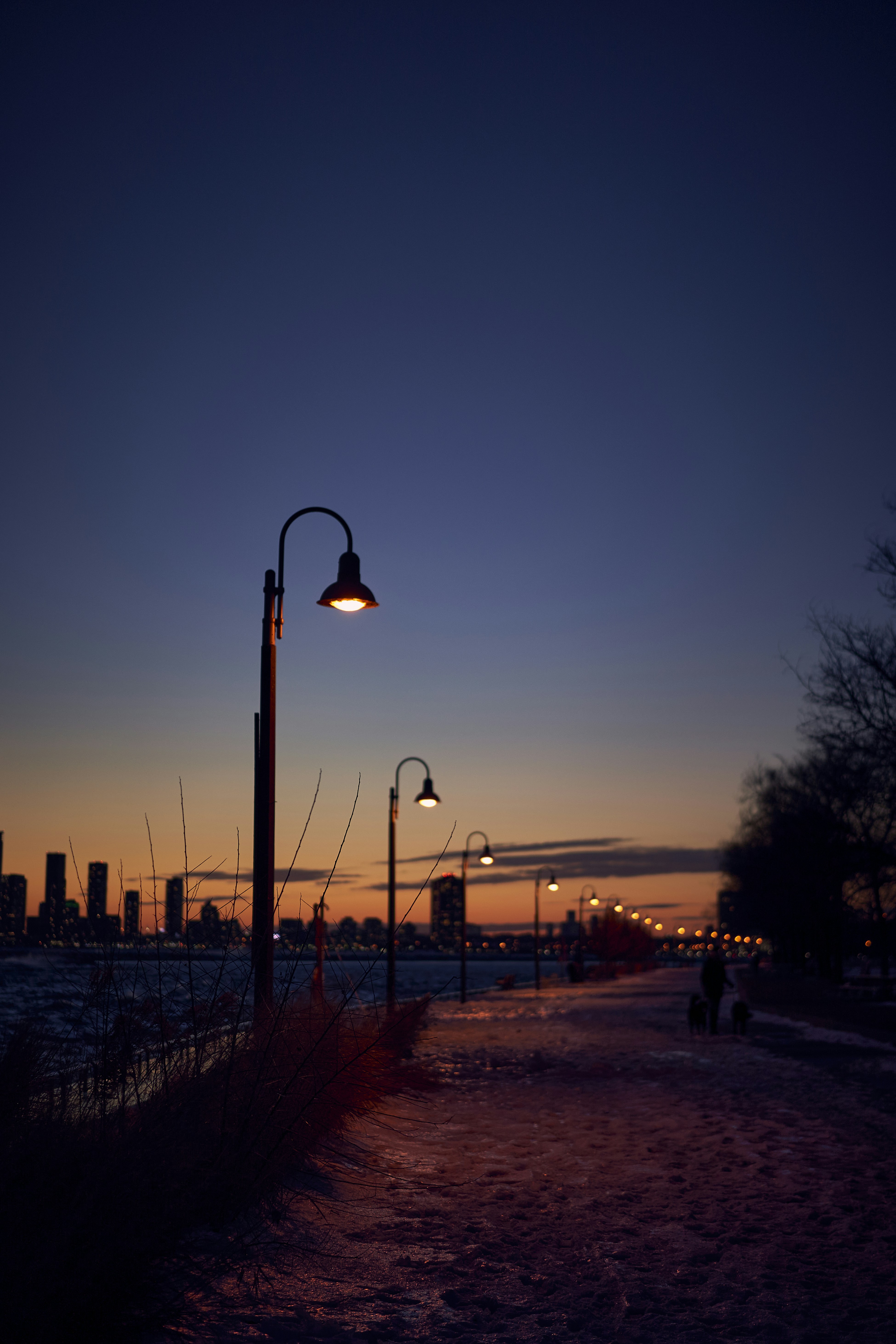 a street light sitting next to a body of water