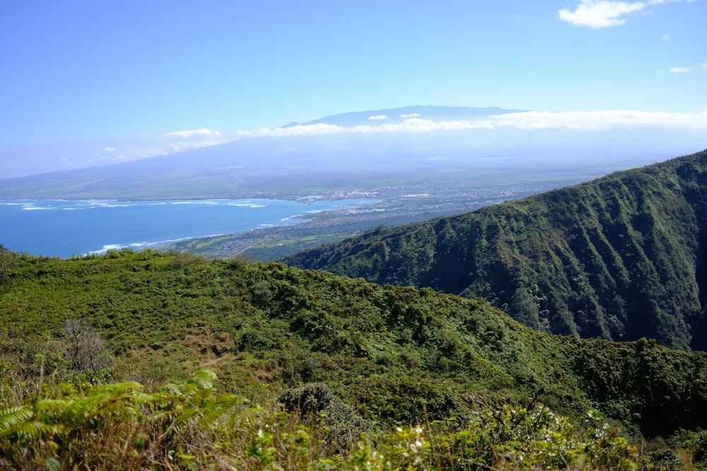 a view of the ocean from the top of a mountain