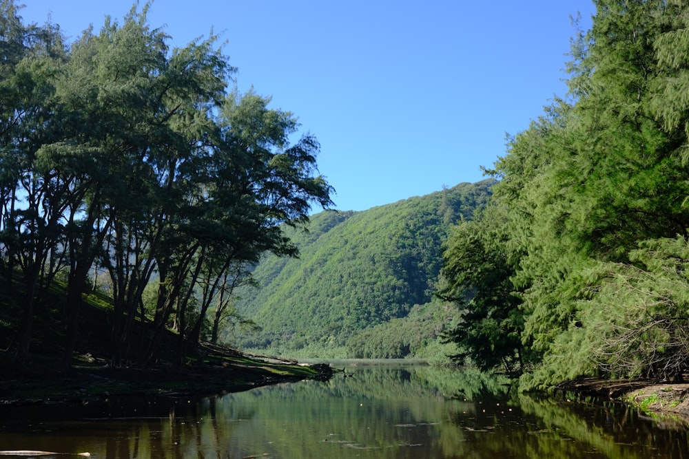 uno specchio d'acqua circondato da alberi e montagne