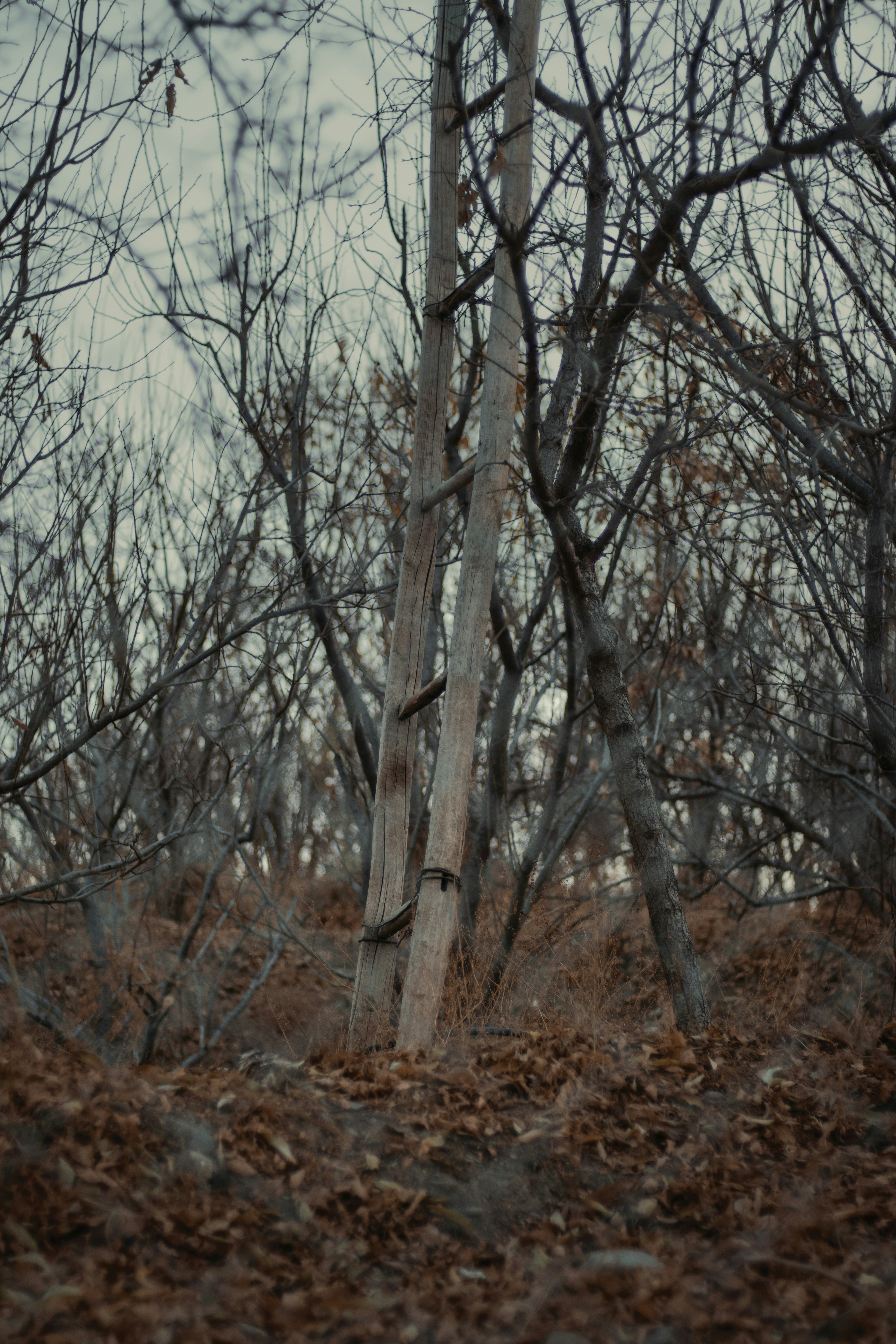 Photo by mahdibafande