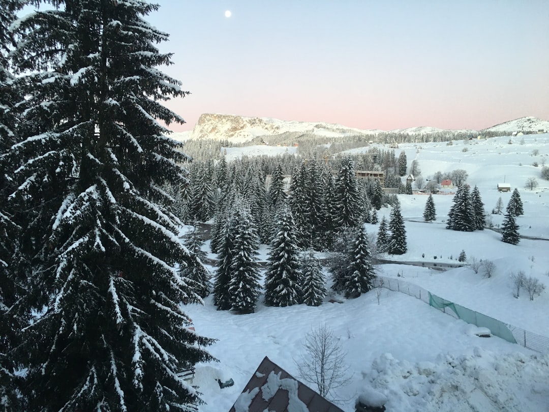 a view of a snow covered mountain with trees in the foreground, 