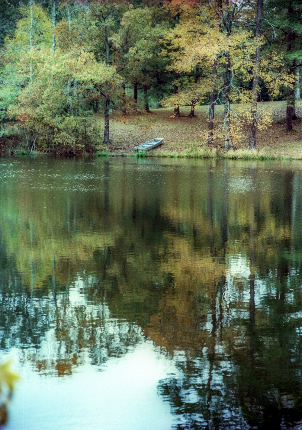 a body of water surrounded by trees