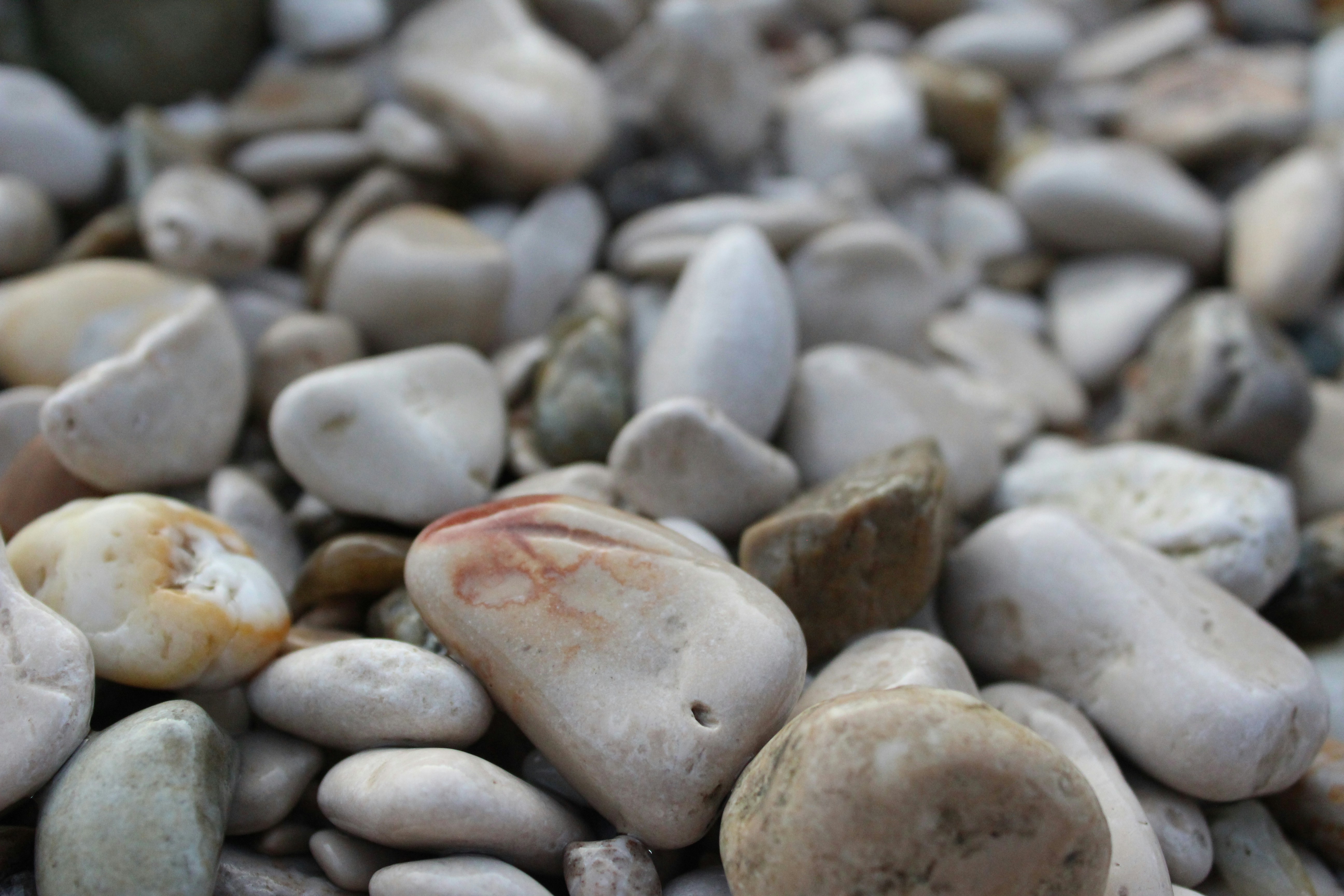 Photo by rowacicchitti