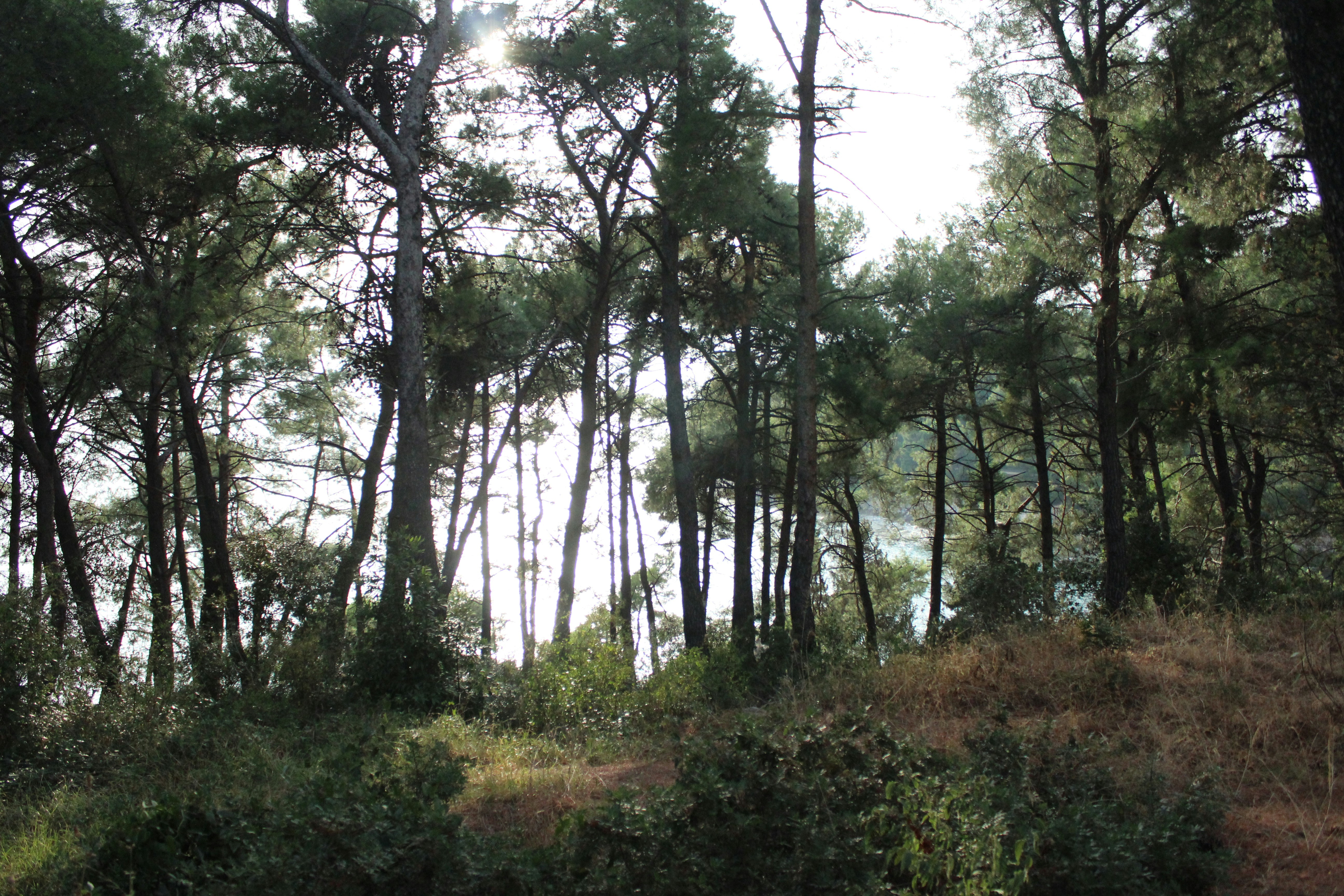 Photo by rowacicchitti