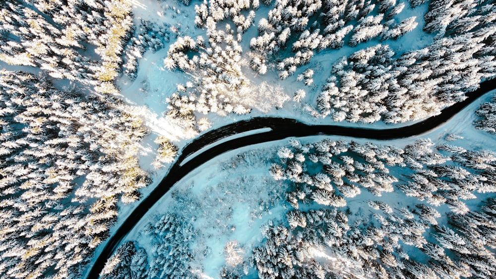 an aerial view of snow covered trees and a river