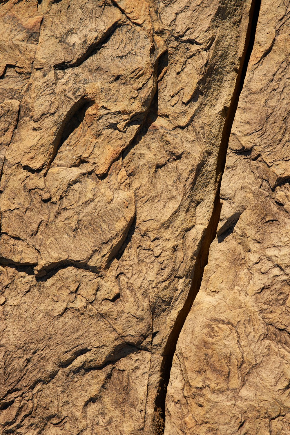 a bird is perched on a rock ledge