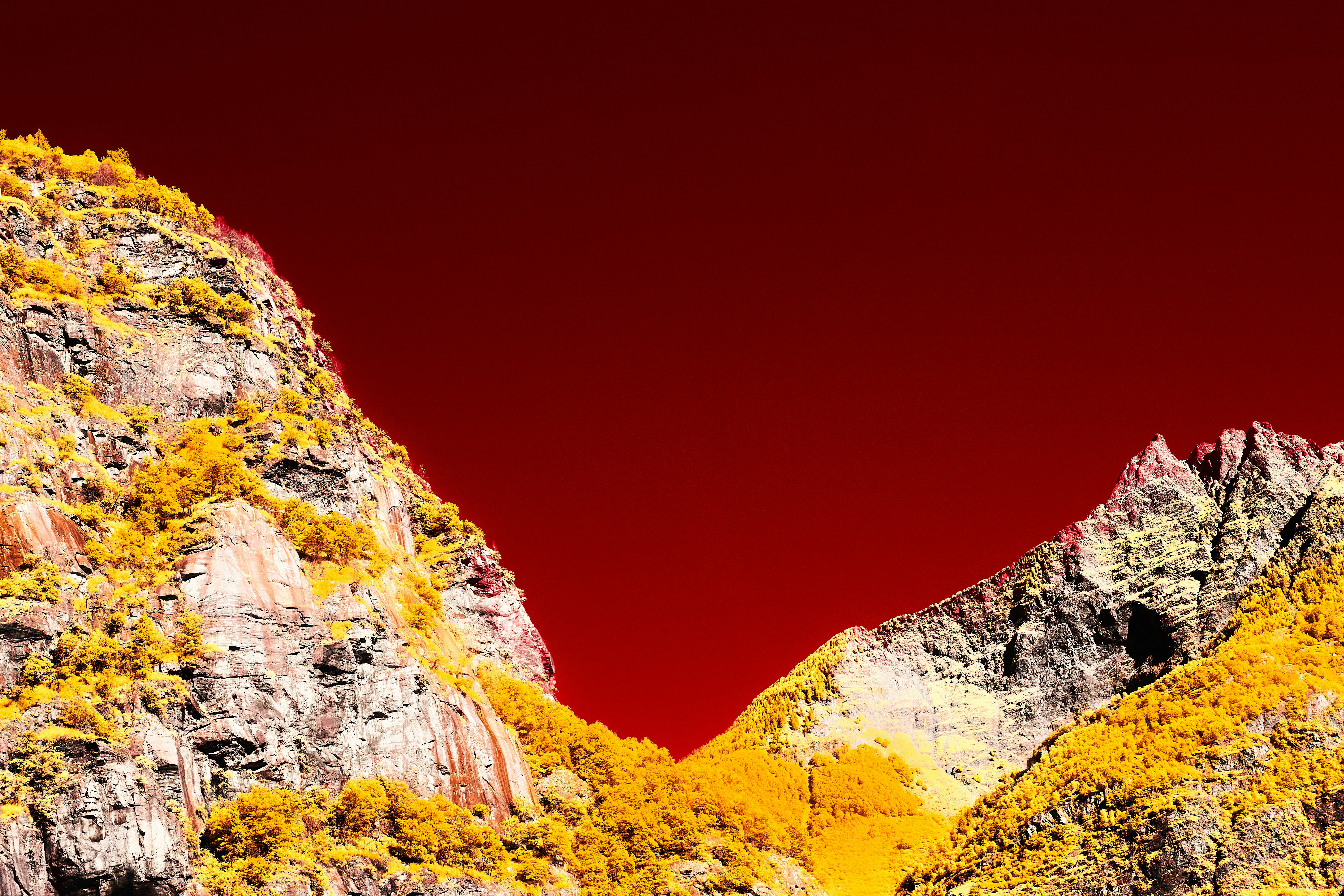 Photo by wolfgang_hasselmann