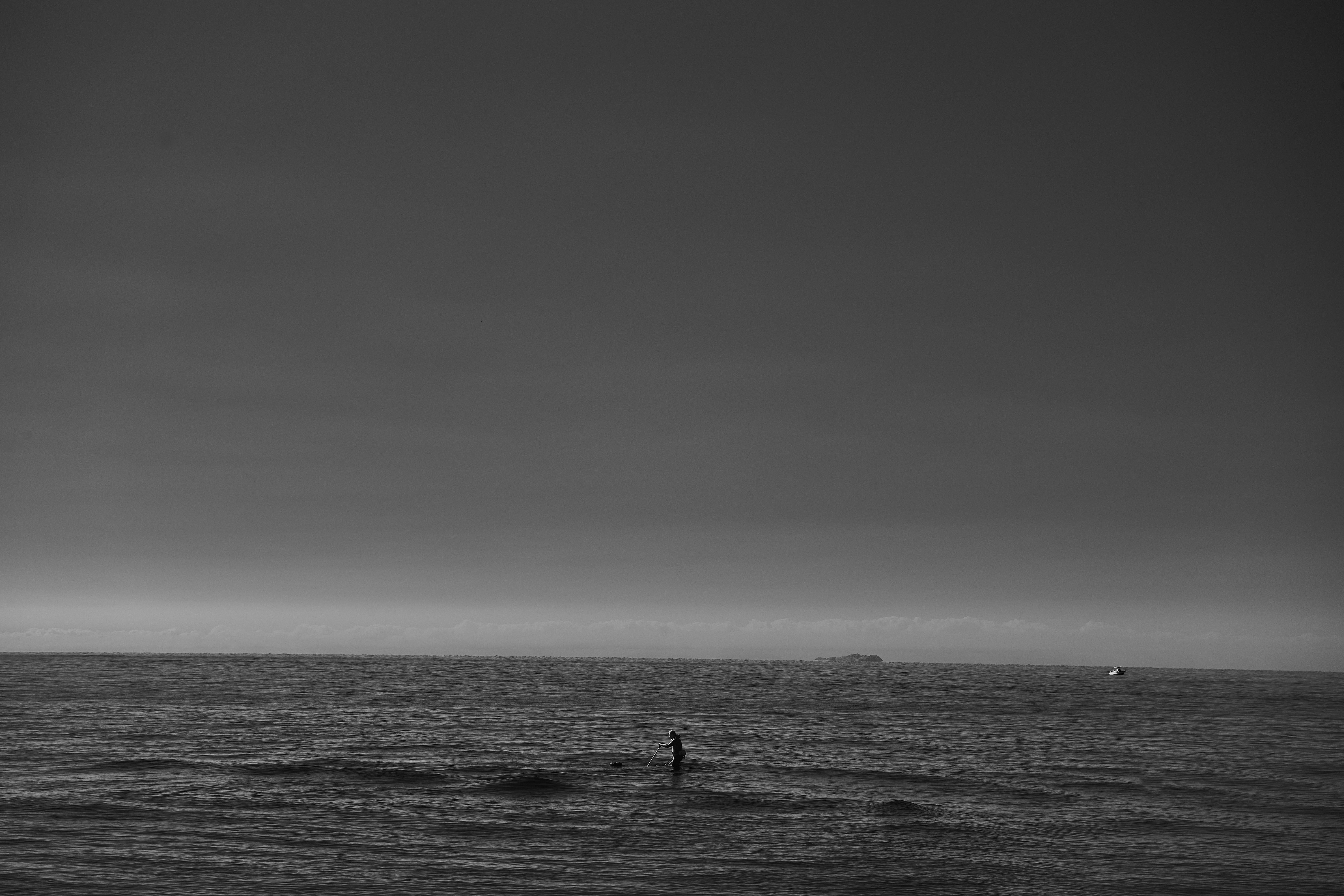 Photo by wolfgang_hasselmann