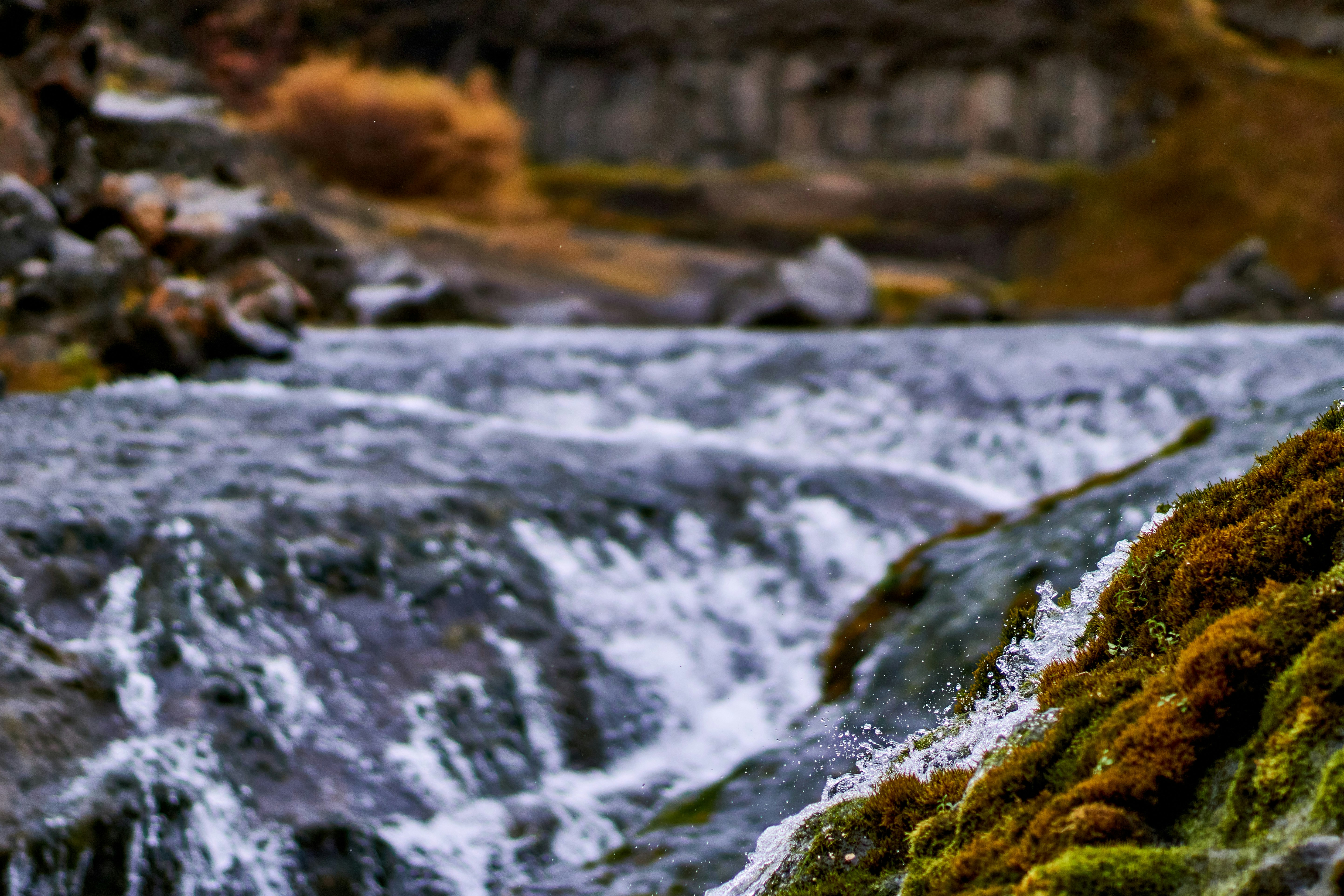 Photo by wolfgang_hasselmann