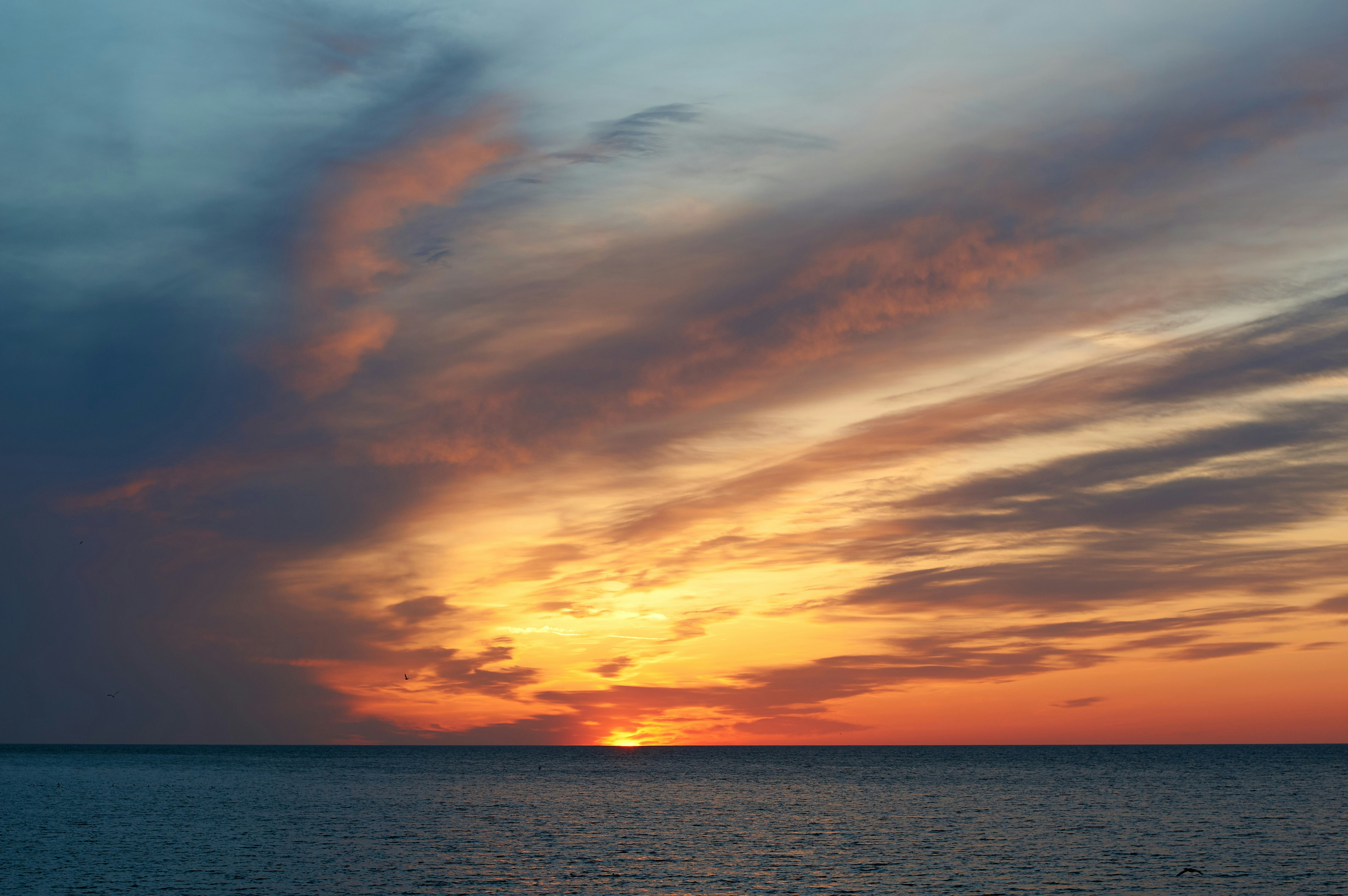 Photo by wolfgang_hasselmann