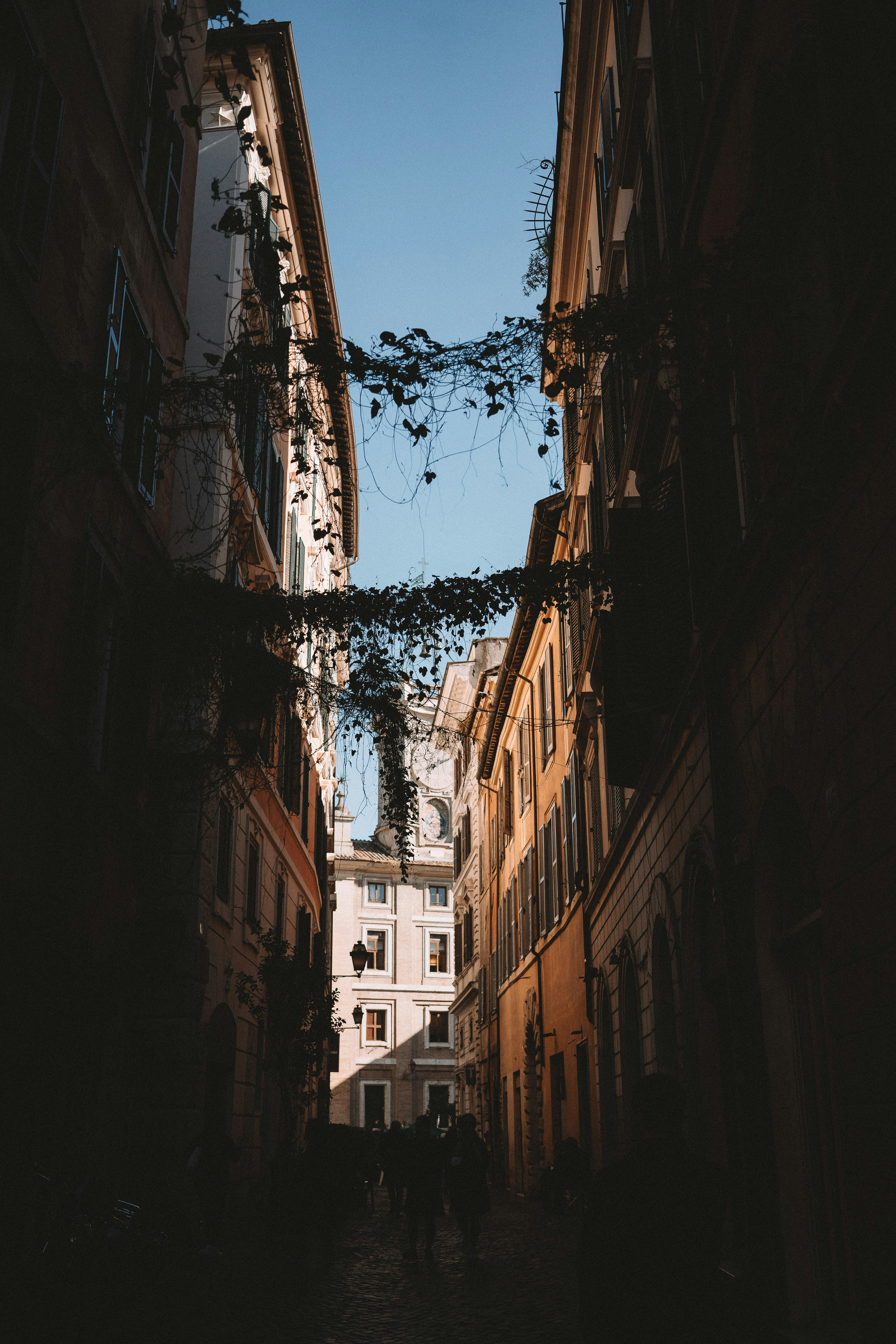 Photo by mendiolamilla10