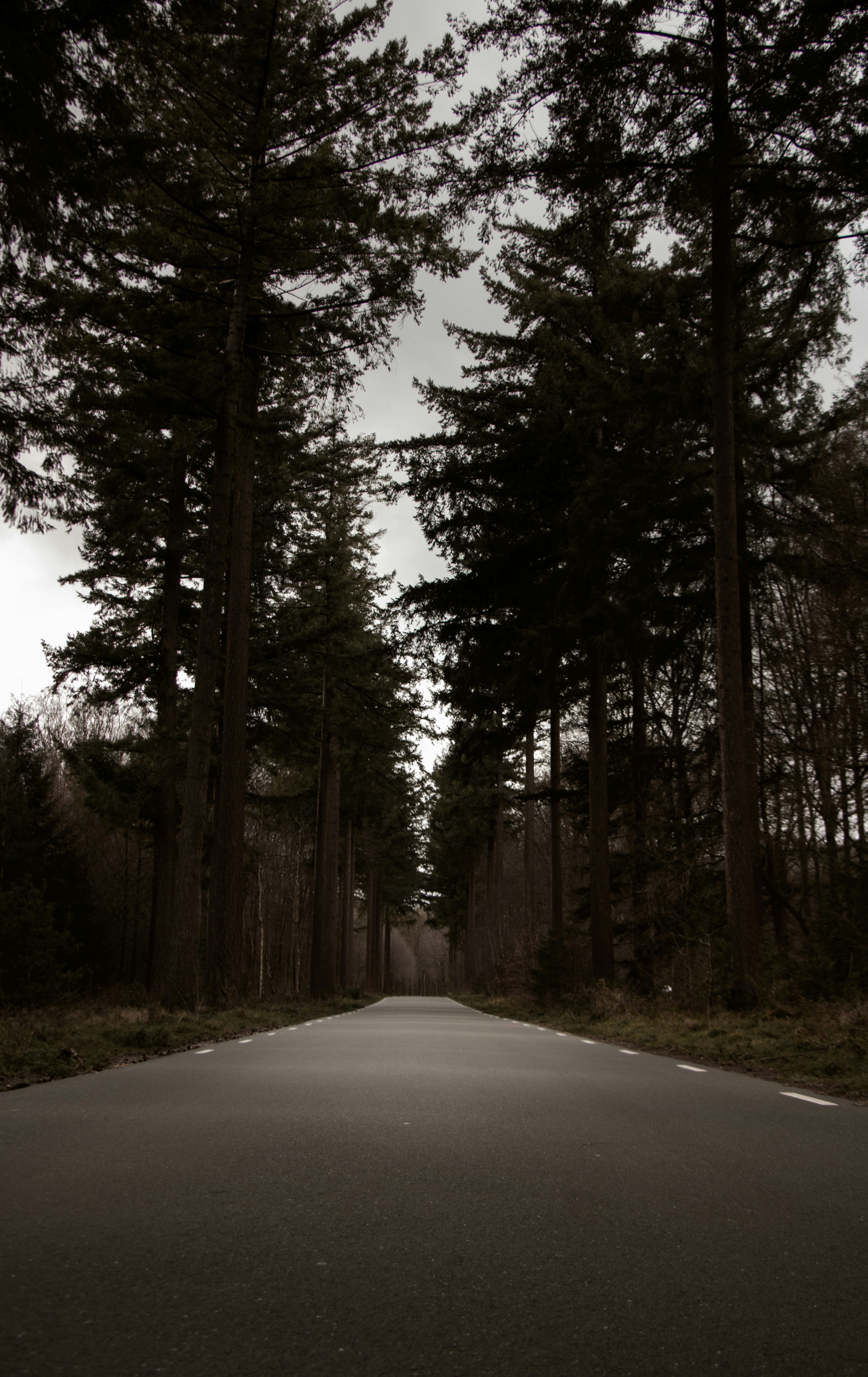 Photo by judithschouten