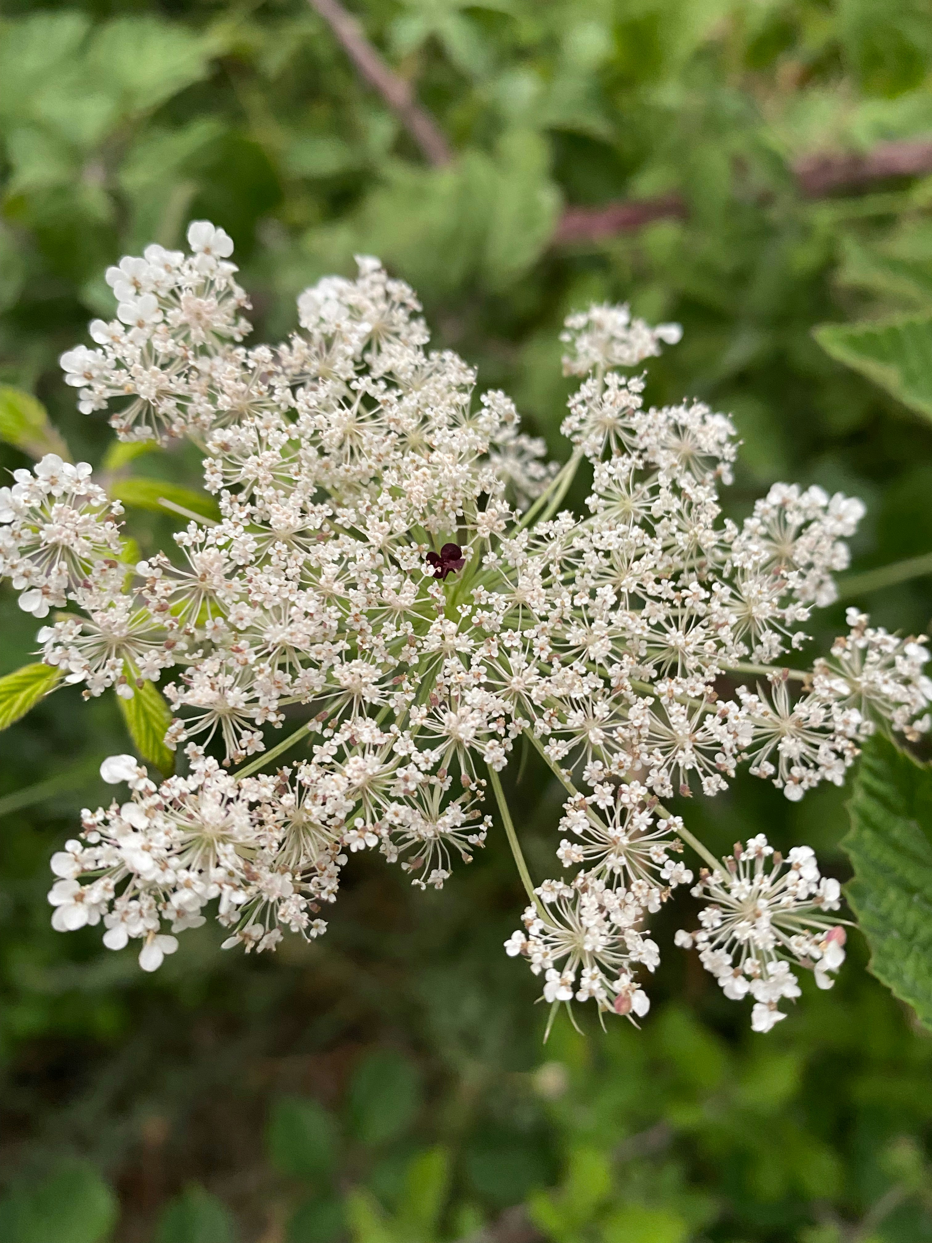 Photo by thallasophile