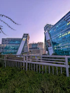 Modern office buildings reflecting Miraflores' economic growth.