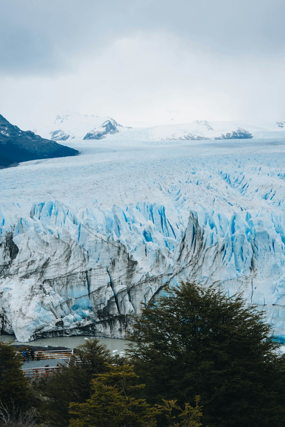 a large glacier in the middle of a forest