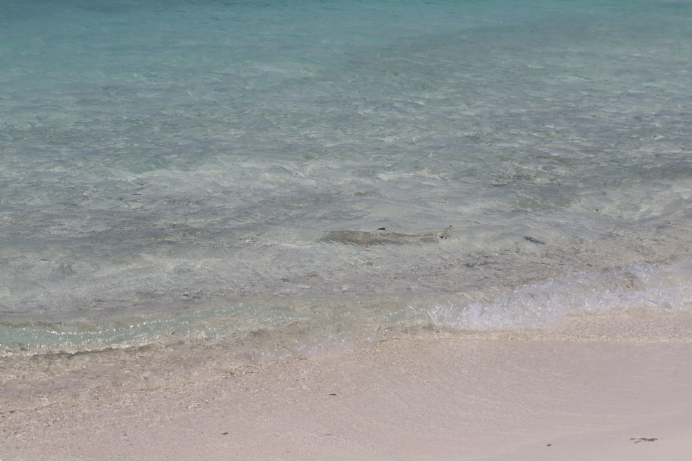 a body of water sitting next to a sandy beach
