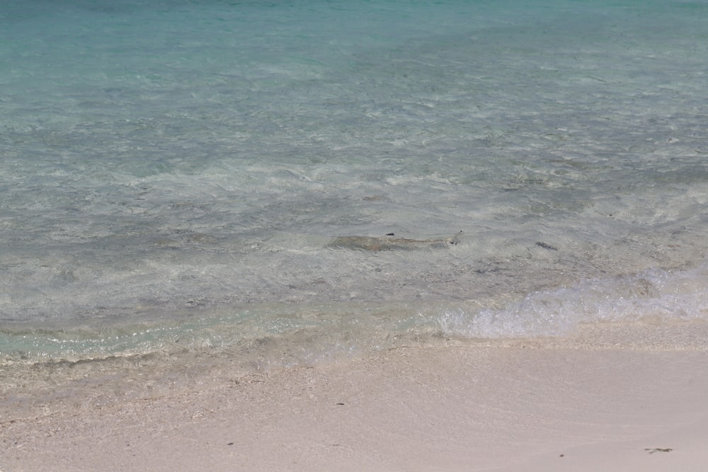 Ein Gewässer neben einem Sandstrand