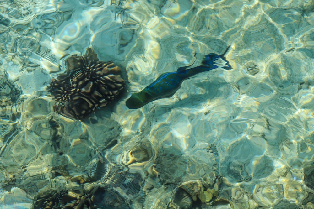 a bottle floating on top of a body of water