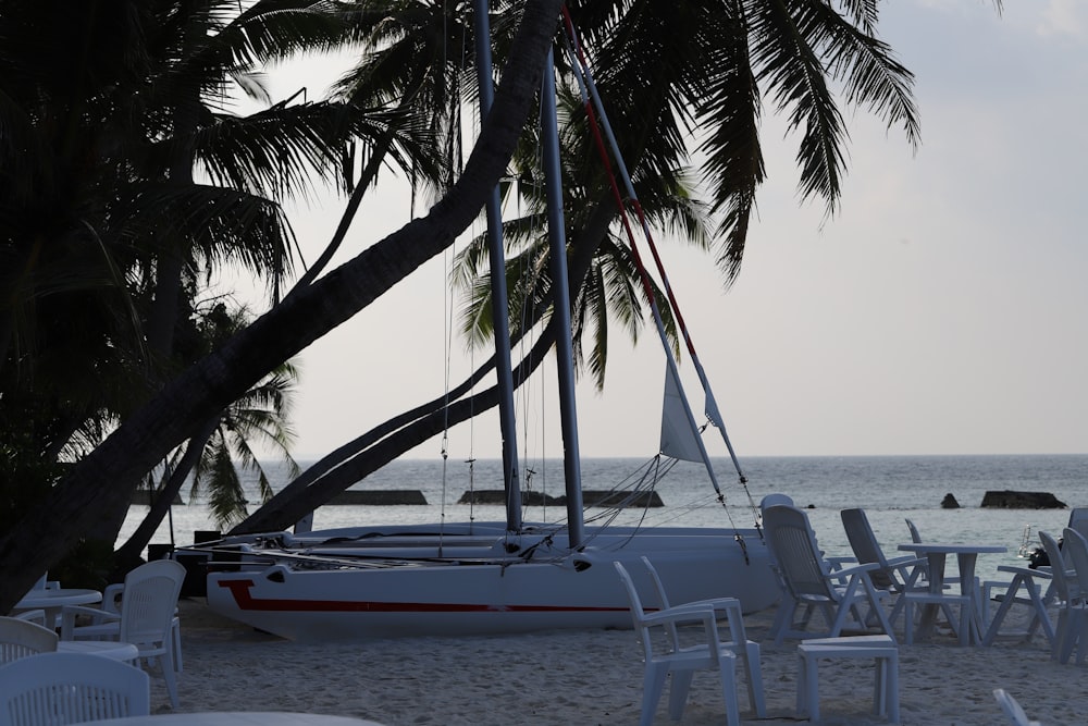 a sailboat sits on the beach next to a palm tree