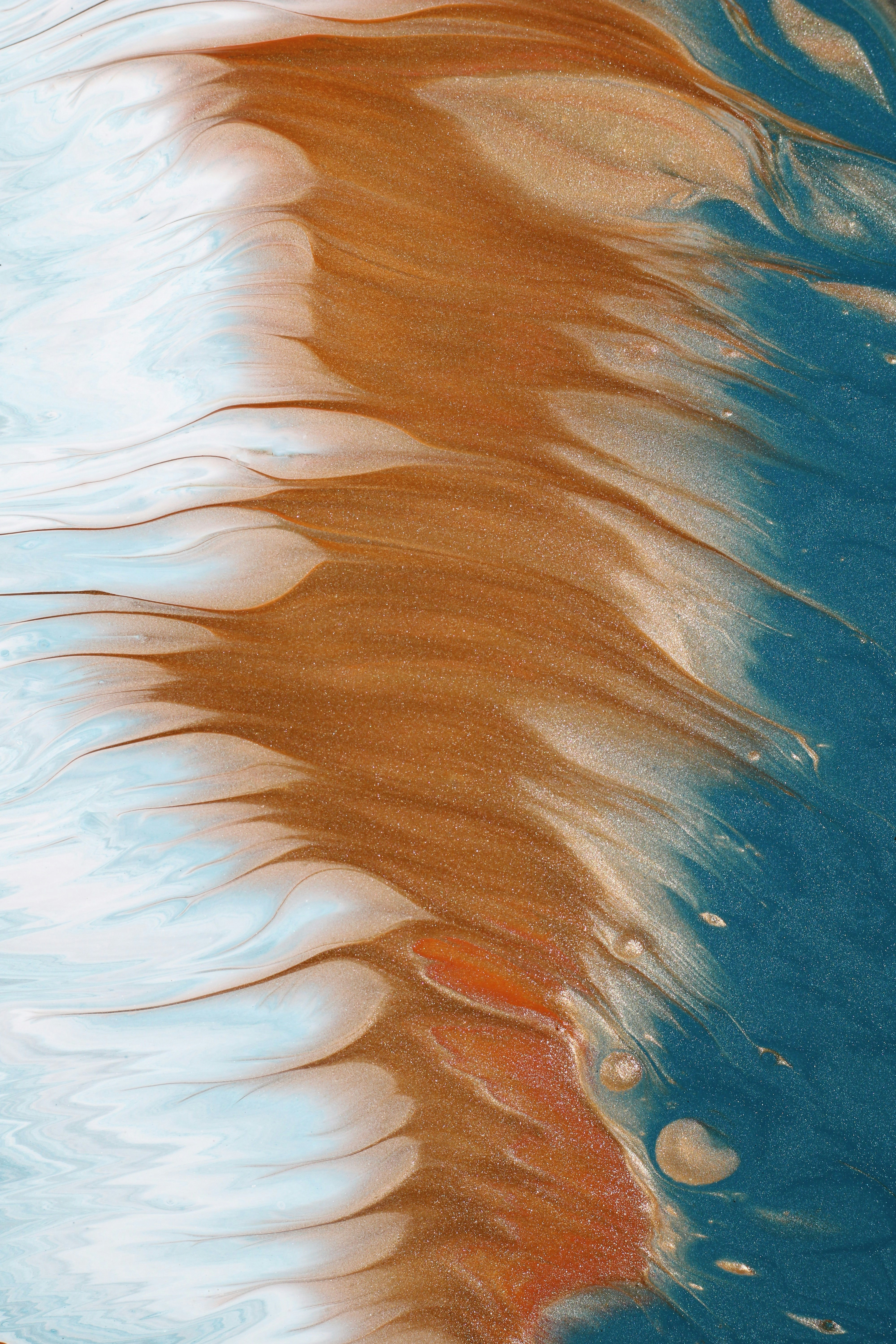 Photo by susan_wilkinson