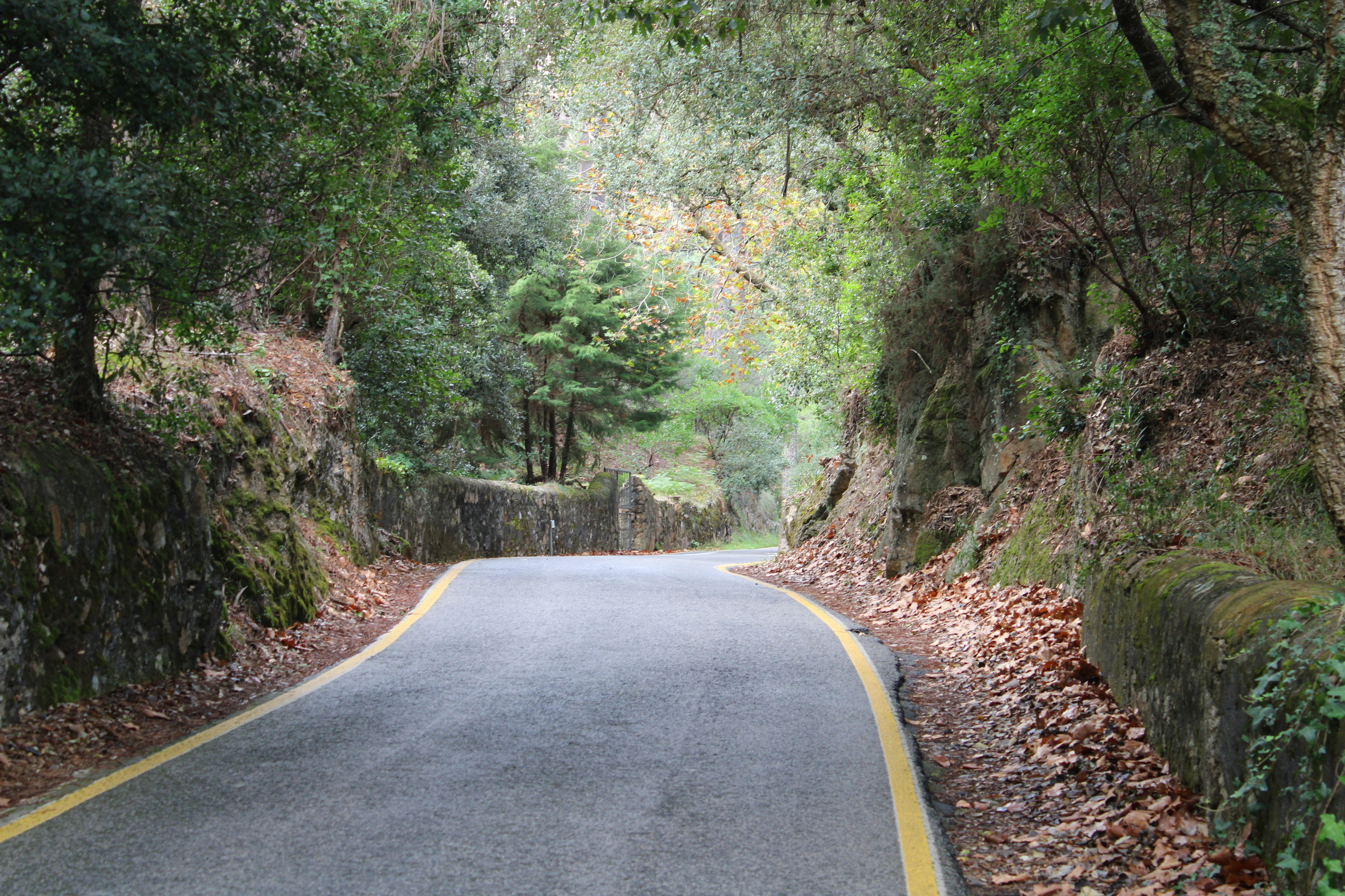 Photo by followmarcos