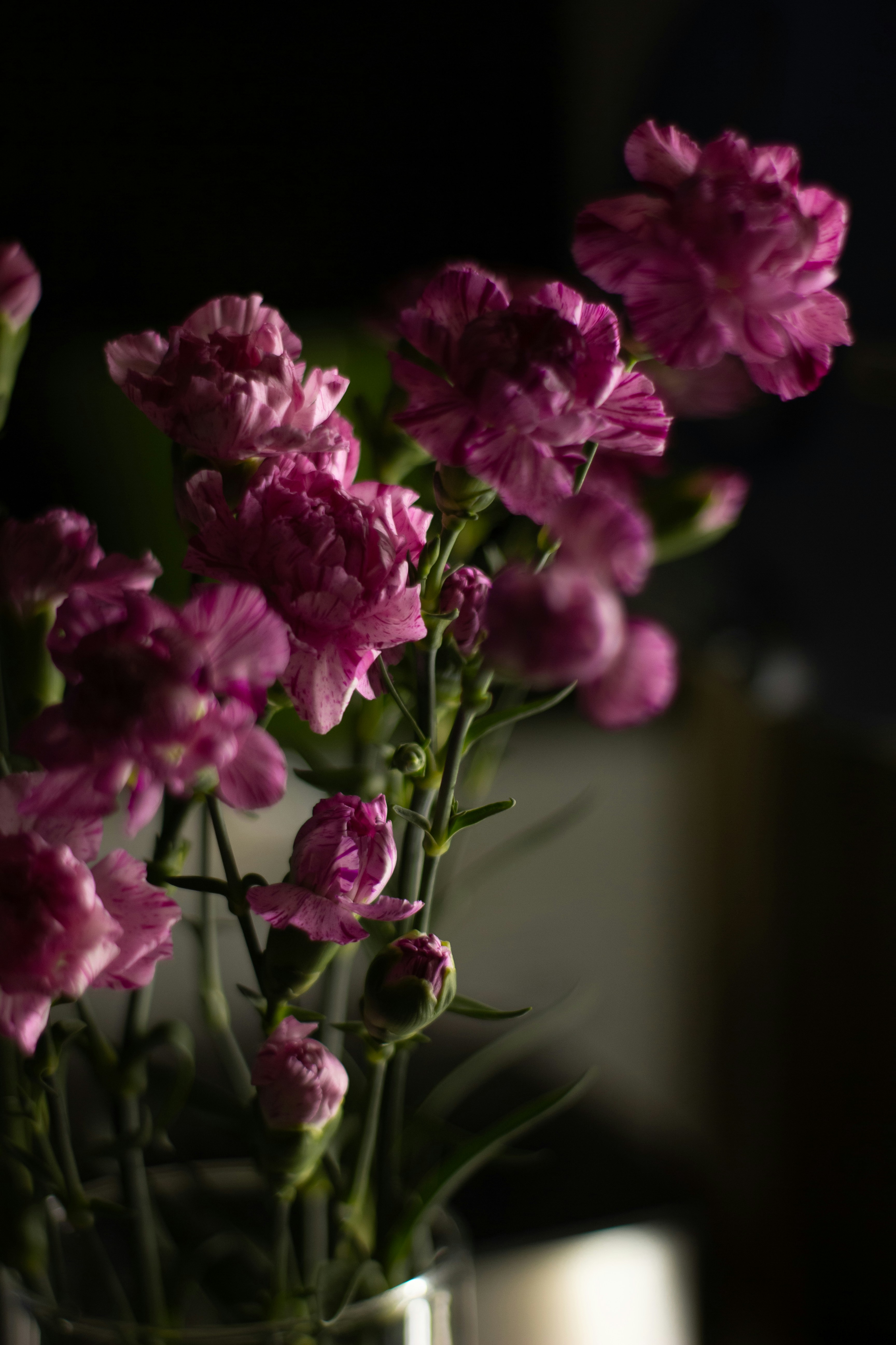 Photo by svitlana_rusak