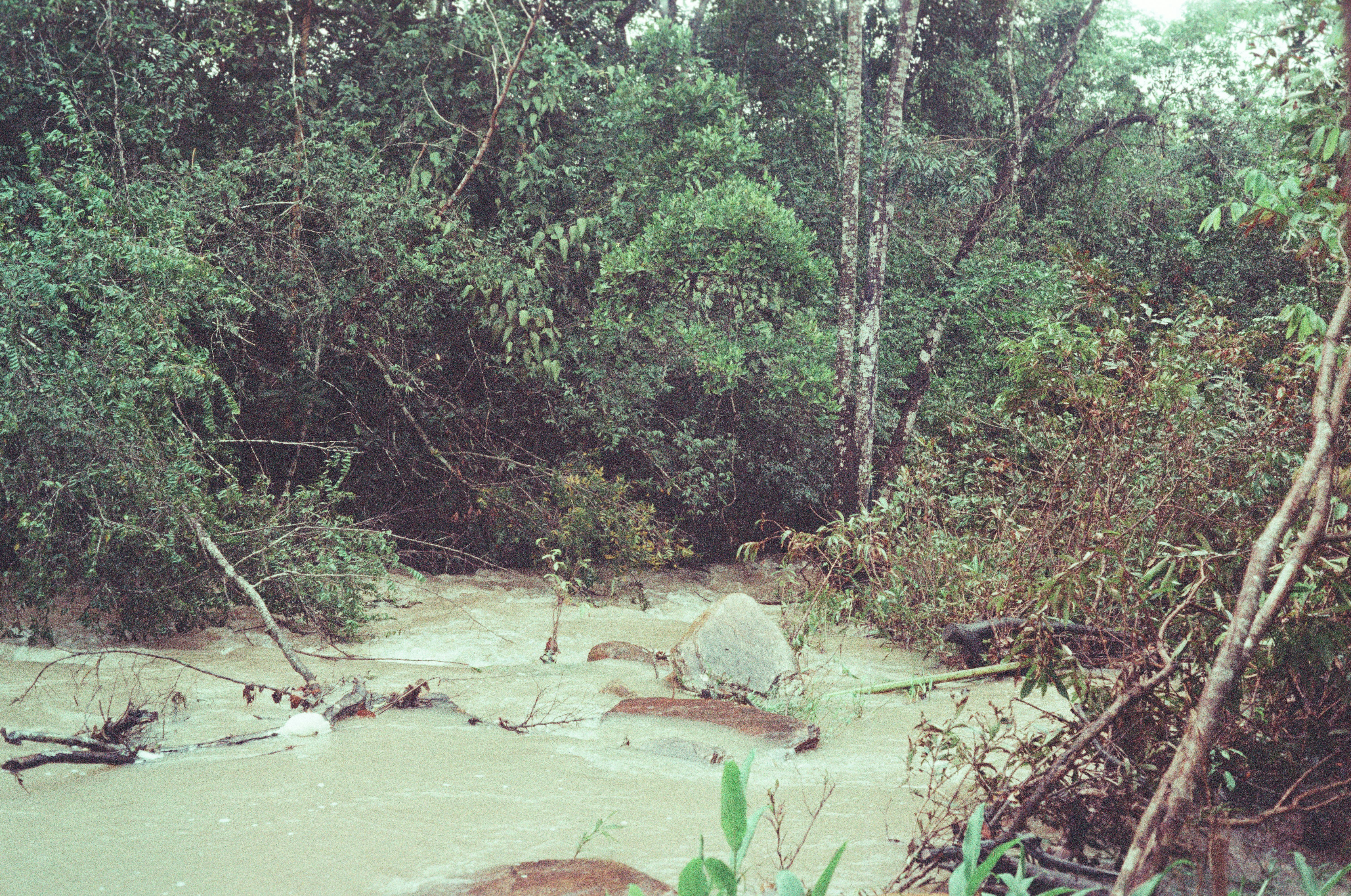 photo-1645656950795-27612cf3bac3?ixid=M3wxMjA3fDB8MXxzZWFyY2h8M3x8d2F0ZXIlMjBkYW1hZ2UlMjBjb21wYW5pZXMlMjBuZWFyJTIwbWV8ZW58MHx8fHwxNzQ2NzMxMTYwfDA\u0026ixlib=rb-4.1.0