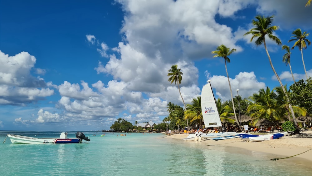 uma praia com barcos e palmeiras em um dia ensolarado