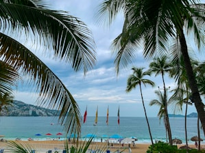 a view of a beach with palm trees and umbrellas