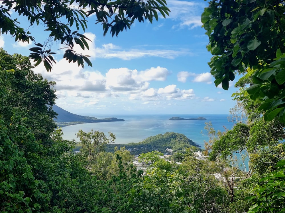 une vue de l’océan depuis une zone boisée