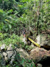 A dynamic cosplay photo of Lara Croft exploring a lush jungle setting.