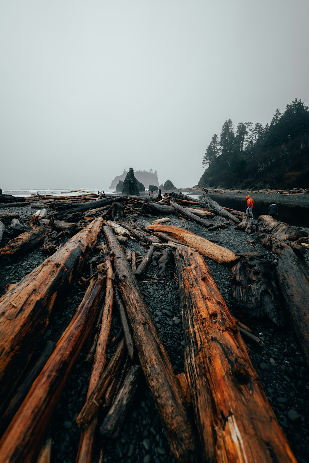 a man standing on top of a pile of logs