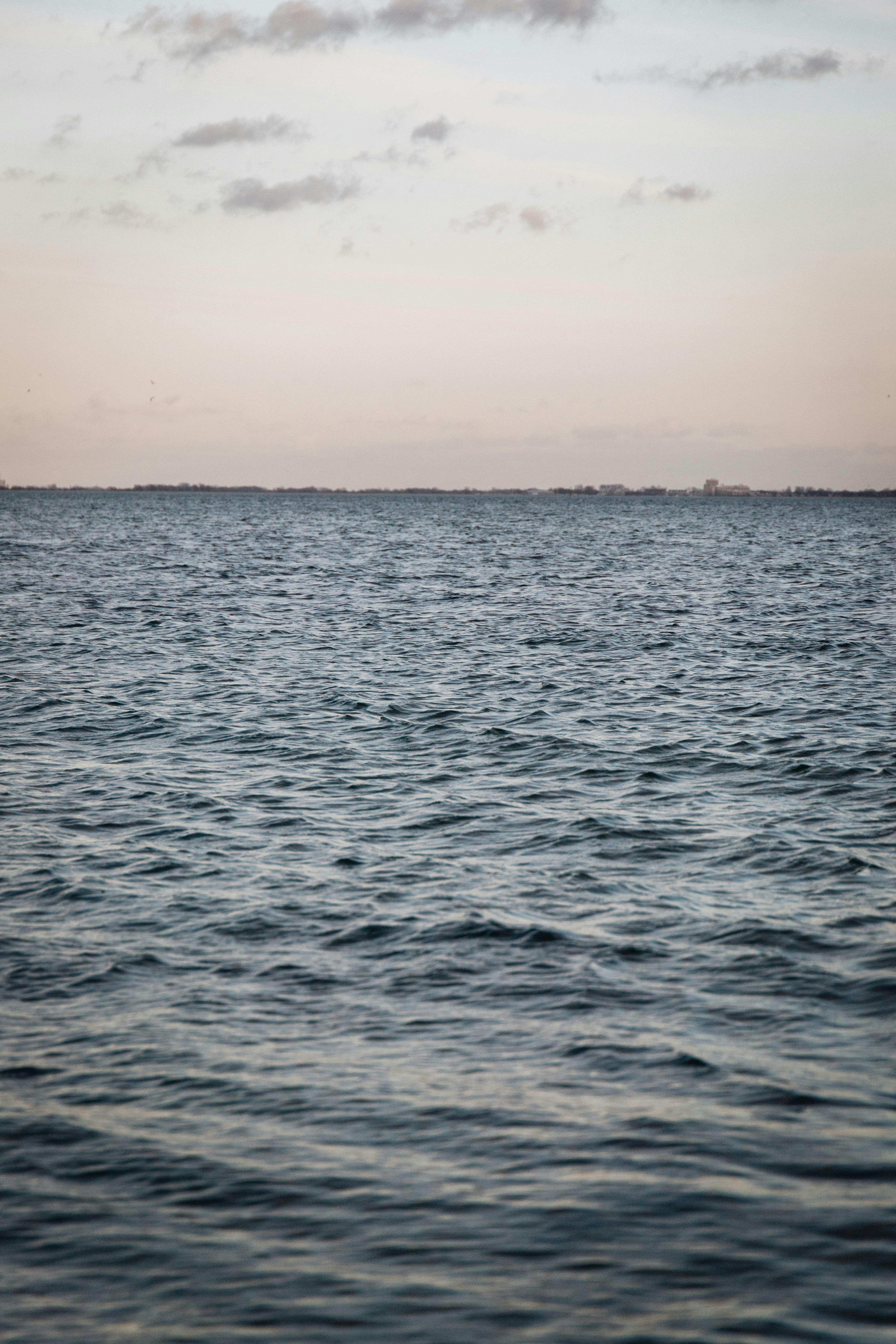 Photo by katharina_bill