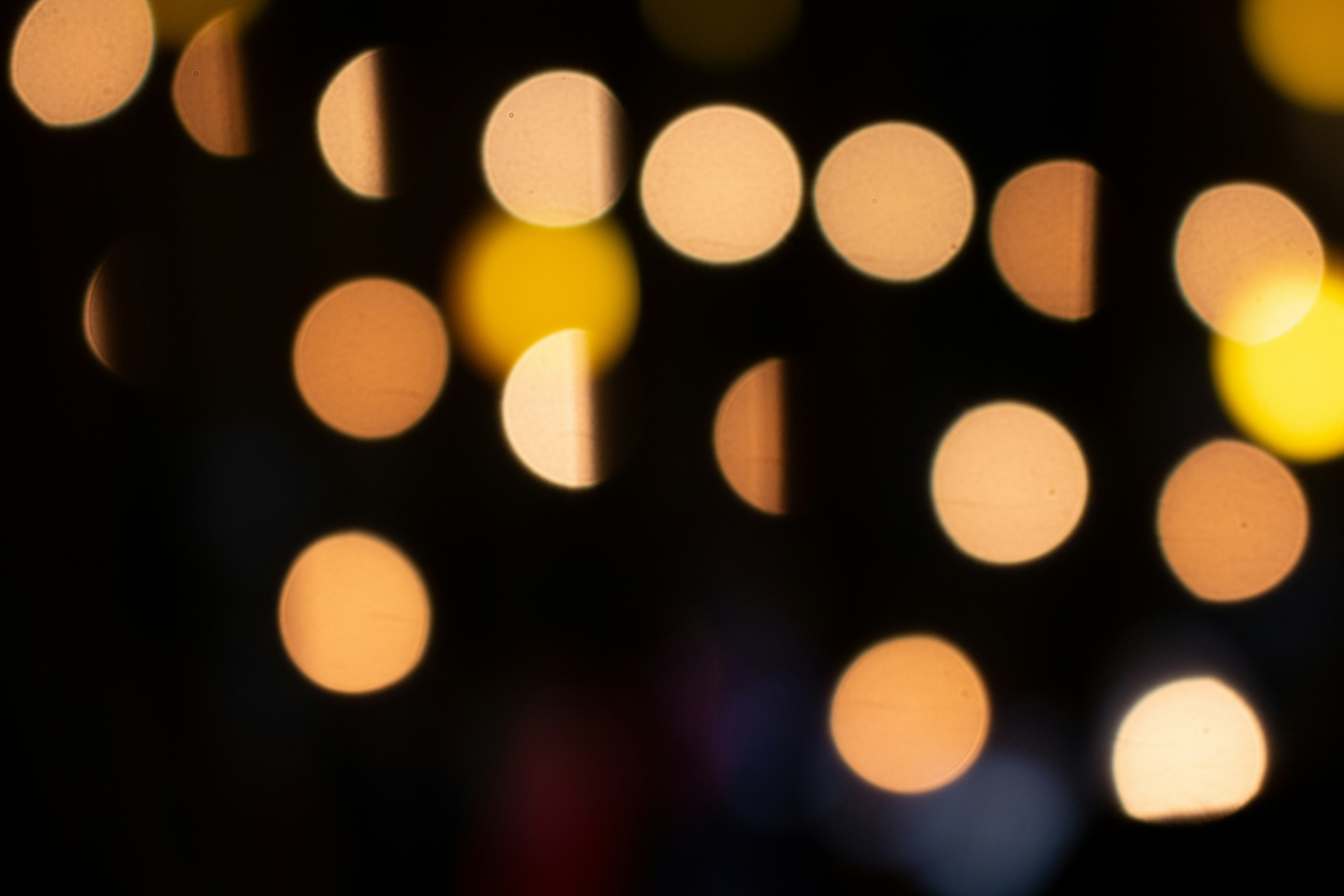 Photo by emilywhittum