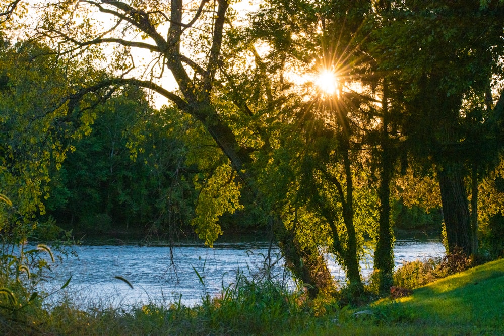 the sun shines through the trees over the water