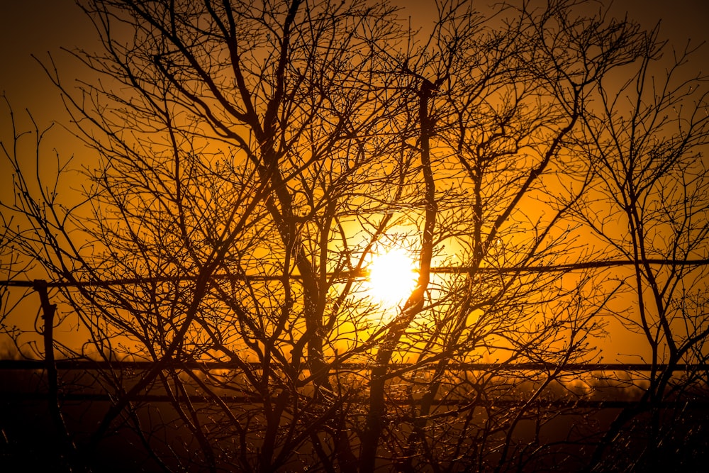 the sun is setting behind a wire fence