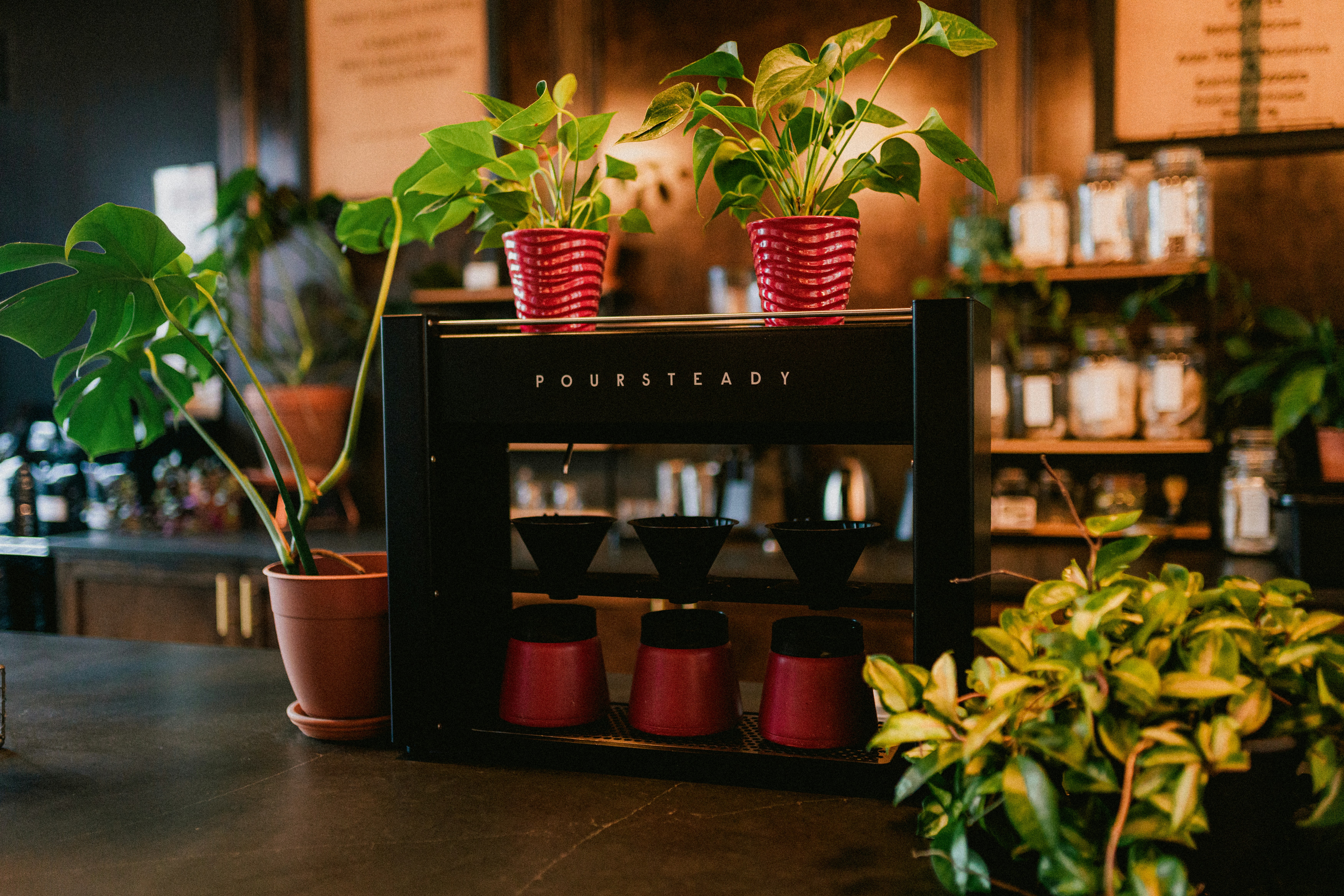 Photo by matthewjungling