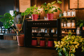 a coffee shop with plants on the counter
