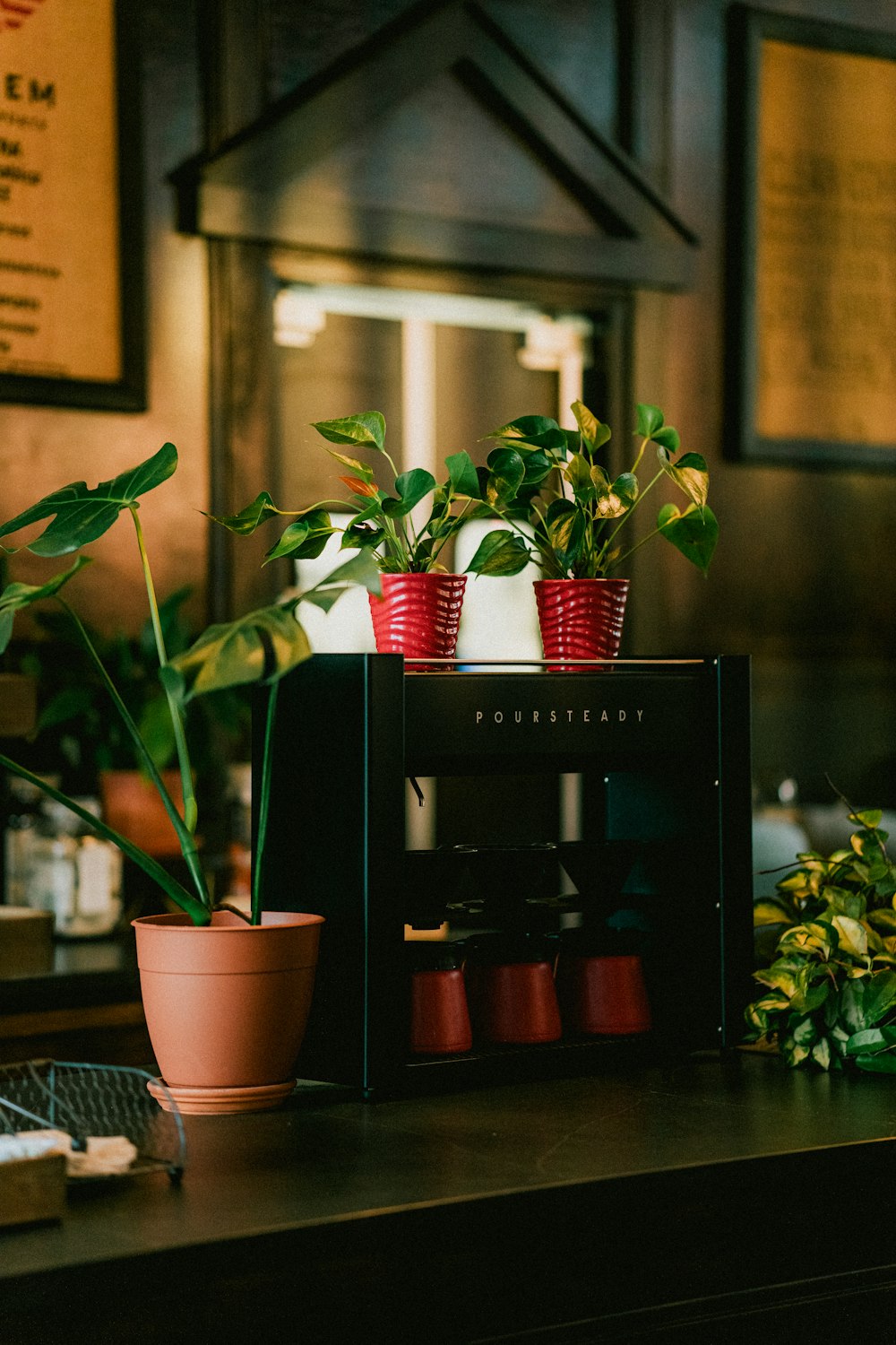 a coffee machine with potted plants on top of it