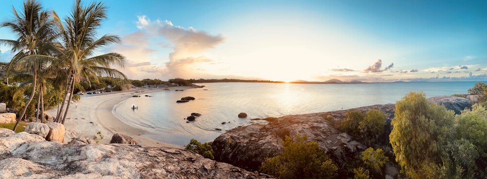 a beach with palm trees and a sunset in the background