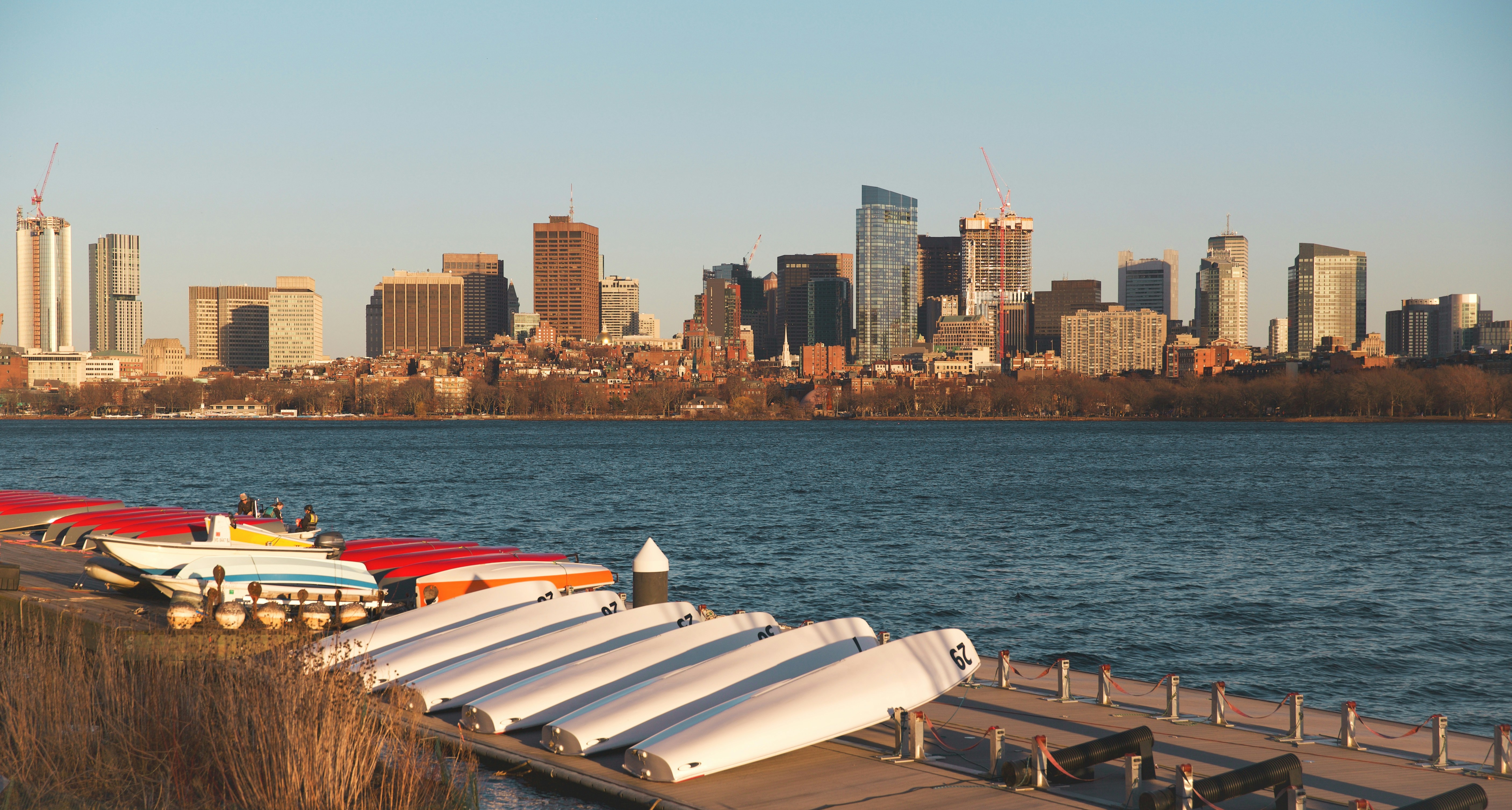 Suya Joint Boston Menu