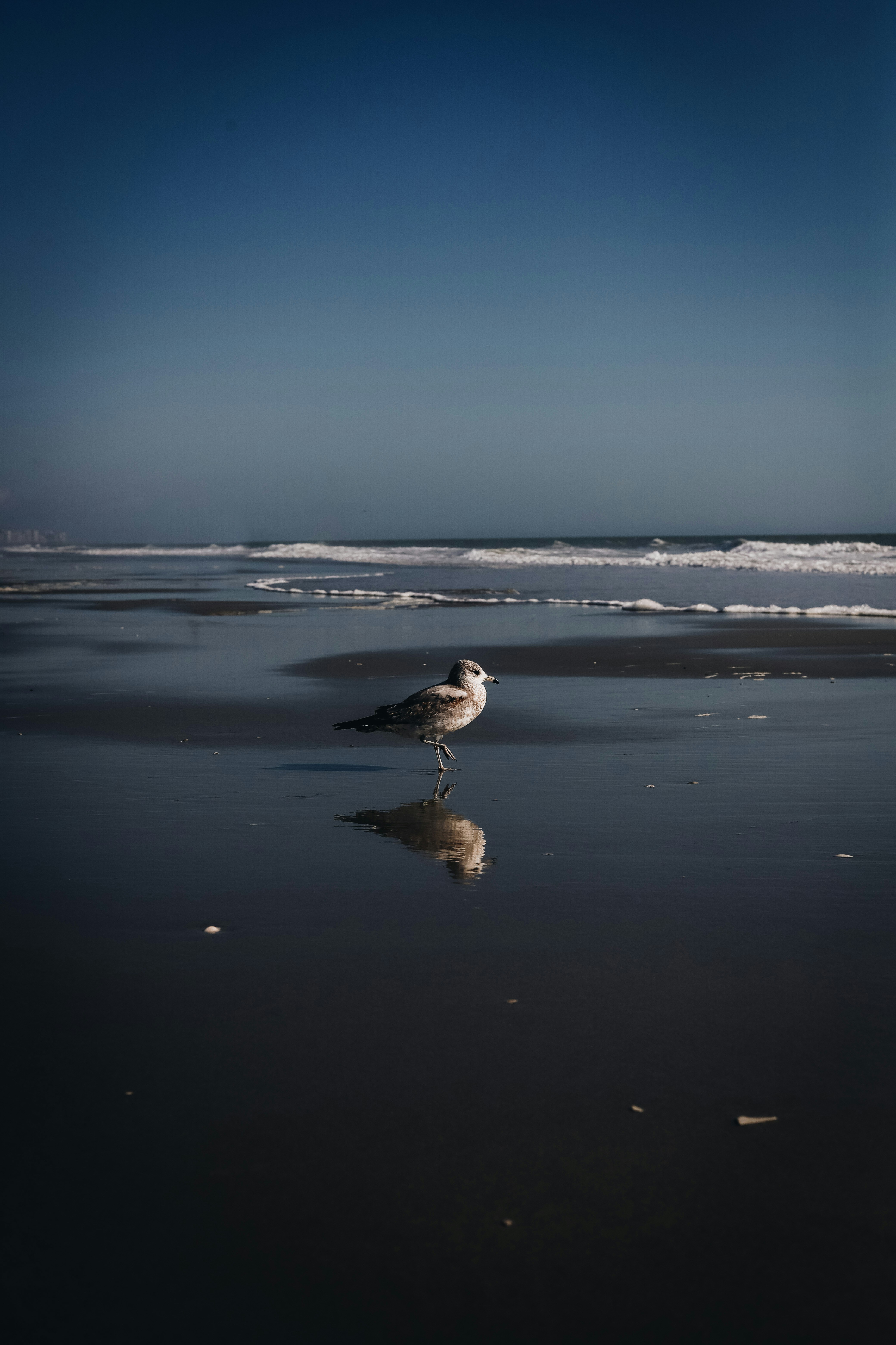 Photo by desireerasor