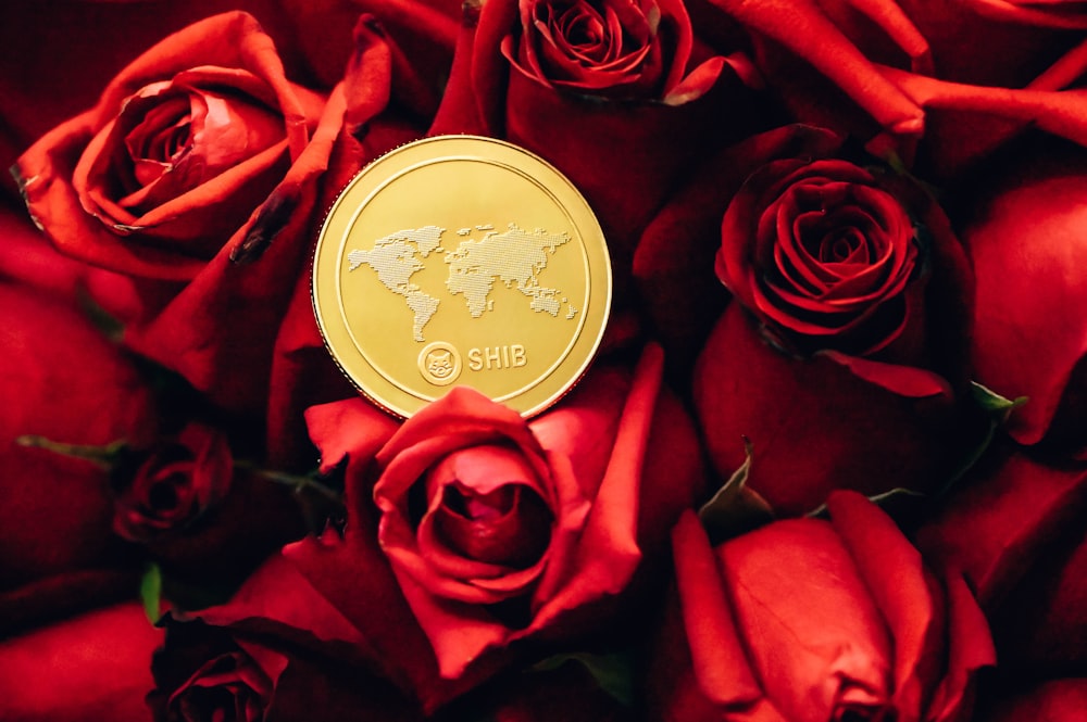 a close up of a gold coin surrounded by red roses