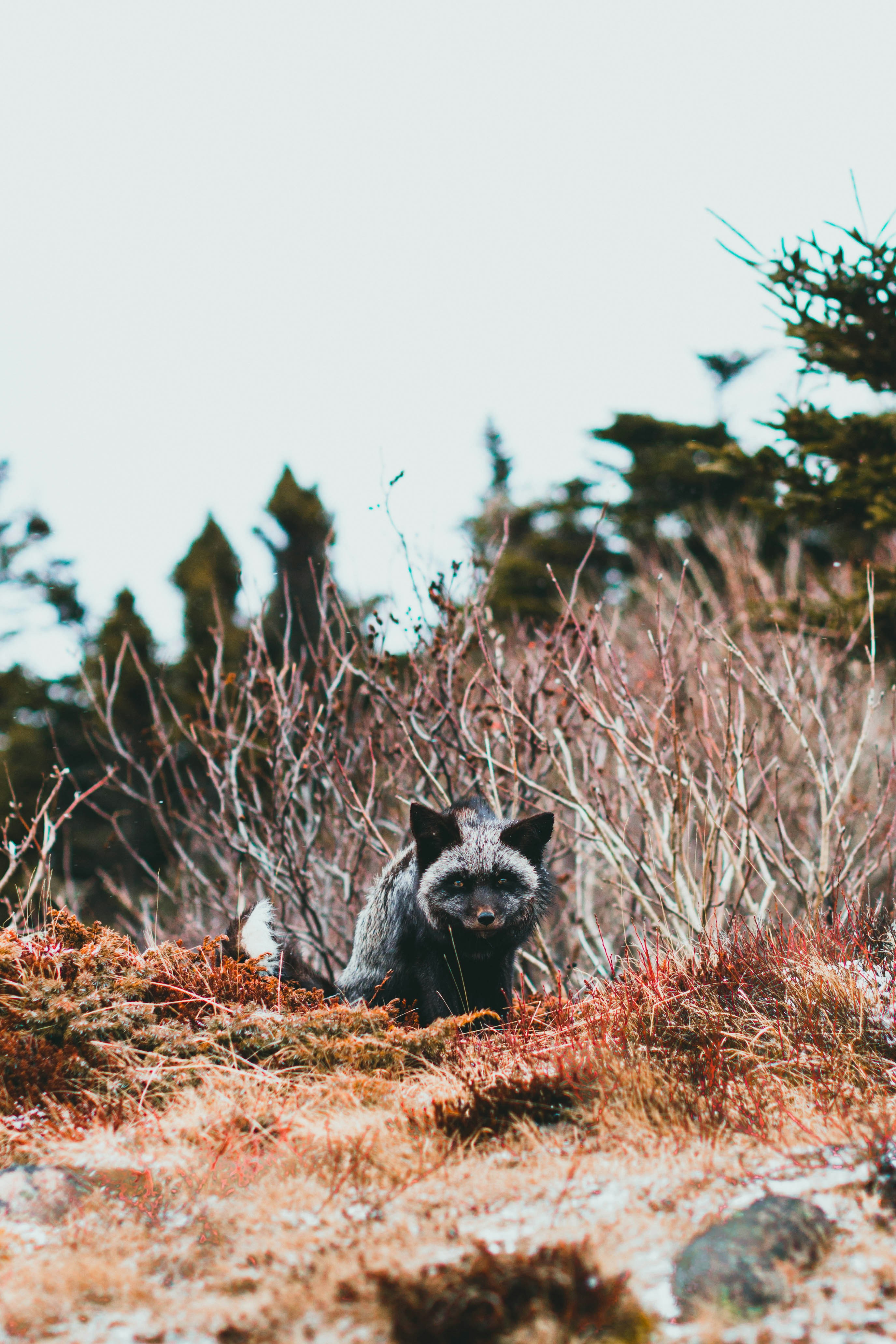 Photo by theshuttervision