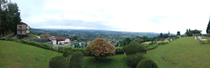 A panoramic view of a home with expertly maintained lawn and decorative trees under a clear blue sky.